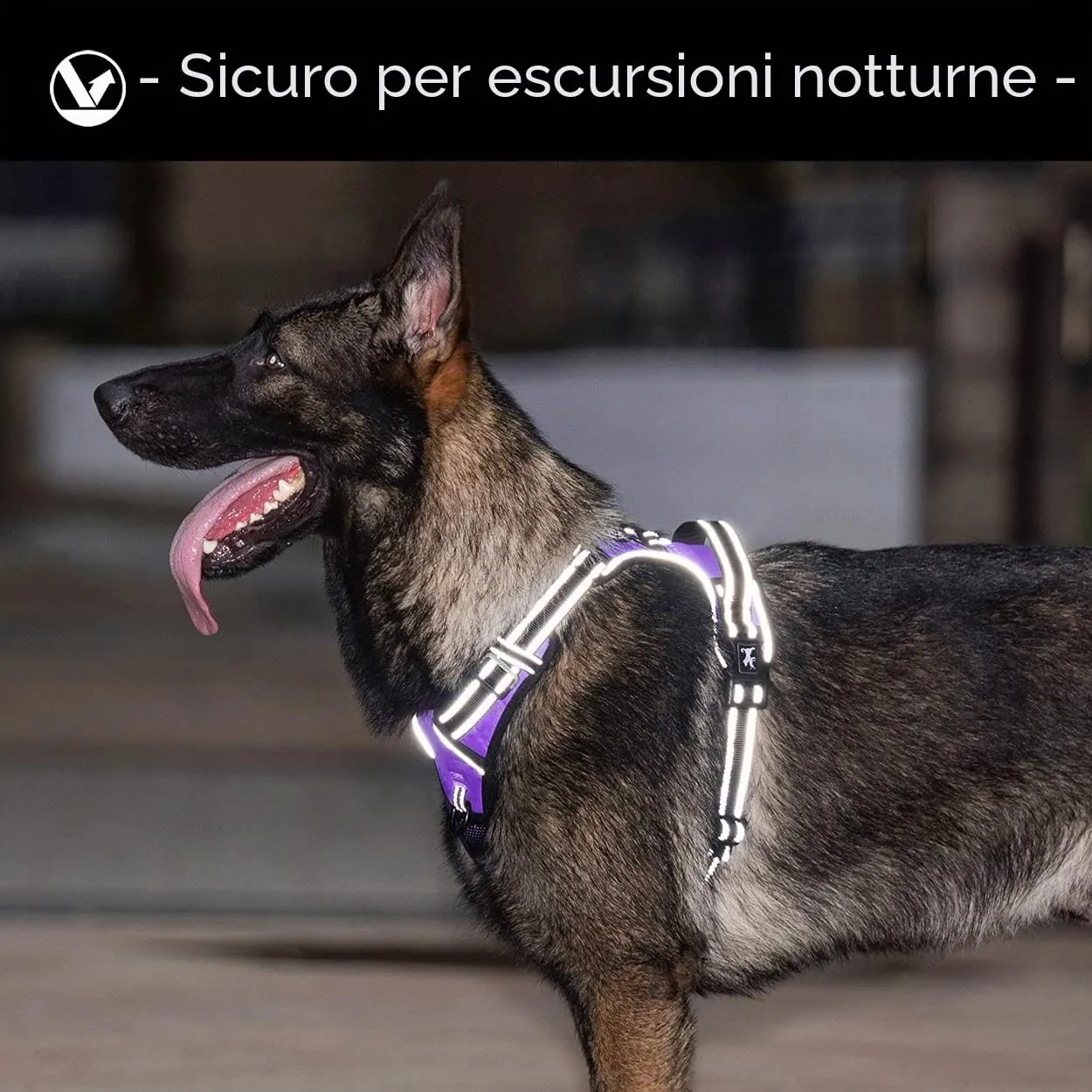PoyPet Imbracatura per cani anti-trazione riflettente, taglia L, viola - immagine 6