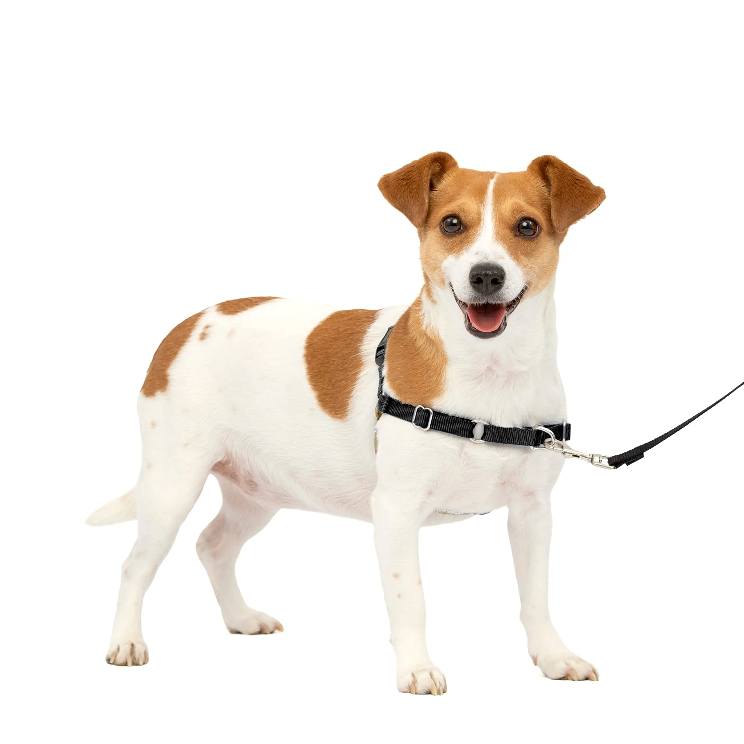 PetSafe Easy Walk Pettorina Anti-tiro per Cani, Nero, S - immagine 1