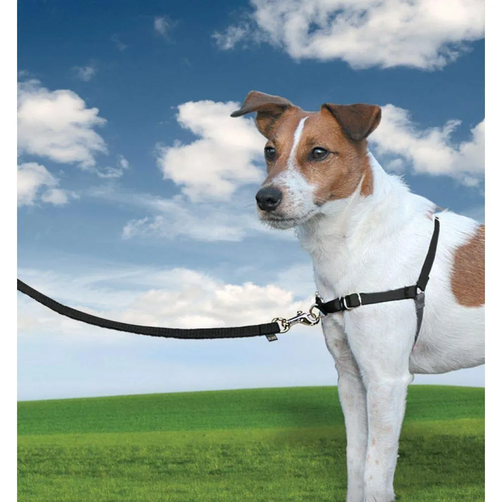 PetSafe Easy Walk Pettorina Anti-tiro per Cani, Nero, S - immagine 2