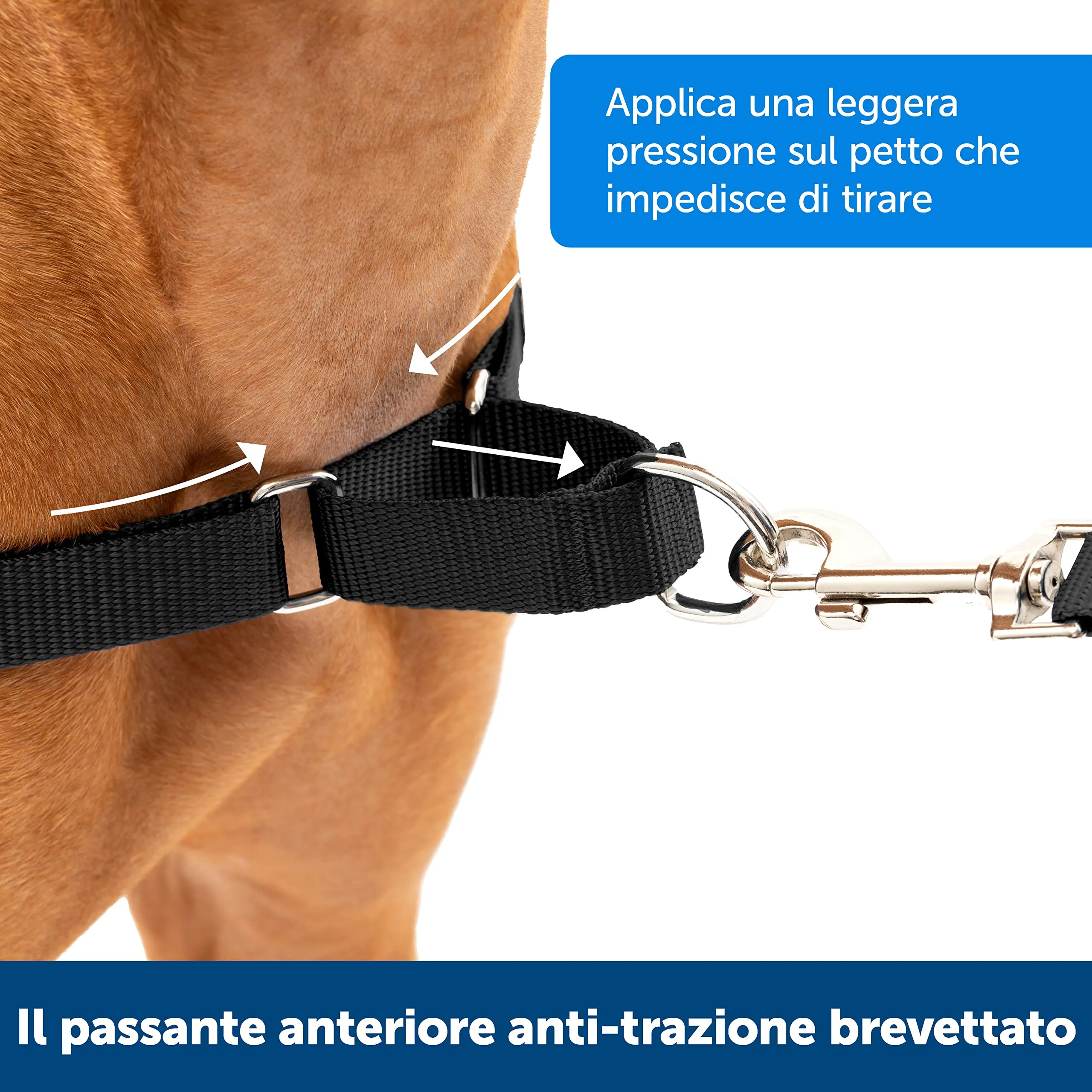 PetSafe Easy Walk Pettorina Anti-tiro per Cani, Nero, S - immagine 3