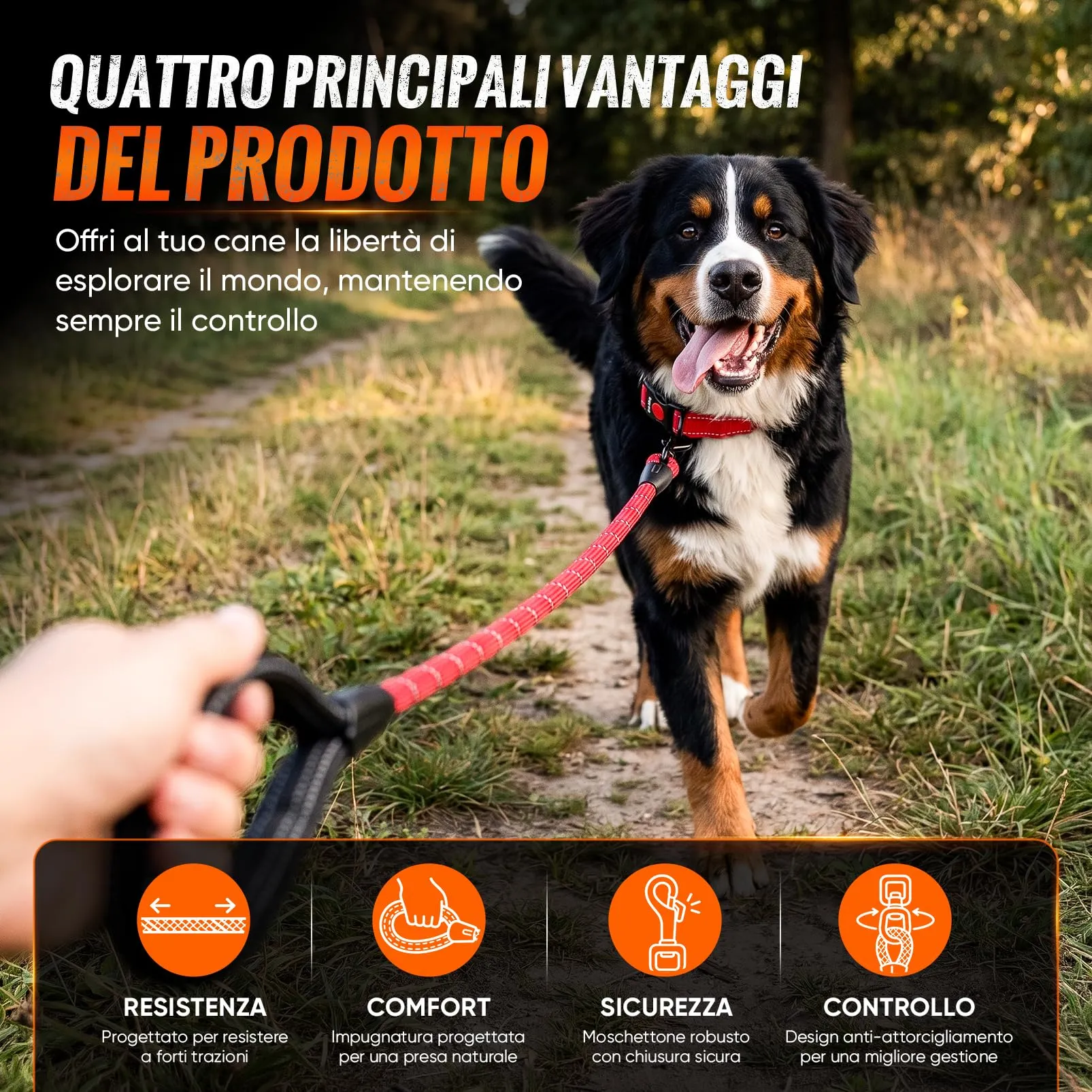 REVER Guinzaglio per Cani in Nylon 120cm Rosso - immagine 9