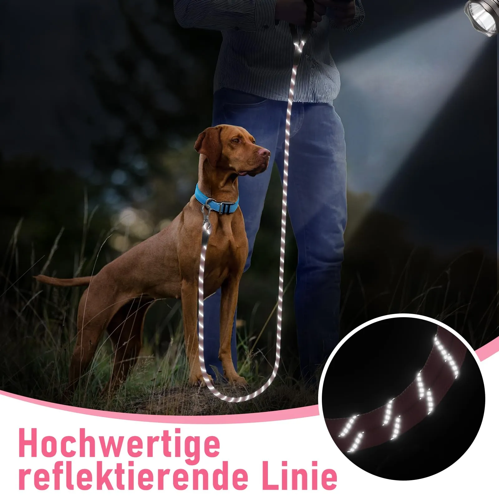X XBEN Guinzaglio Addestramento per Cani, 10M x 8mm, Nylon con Gancio di Sicurezza e Maniglia Imbottita - immagine 6