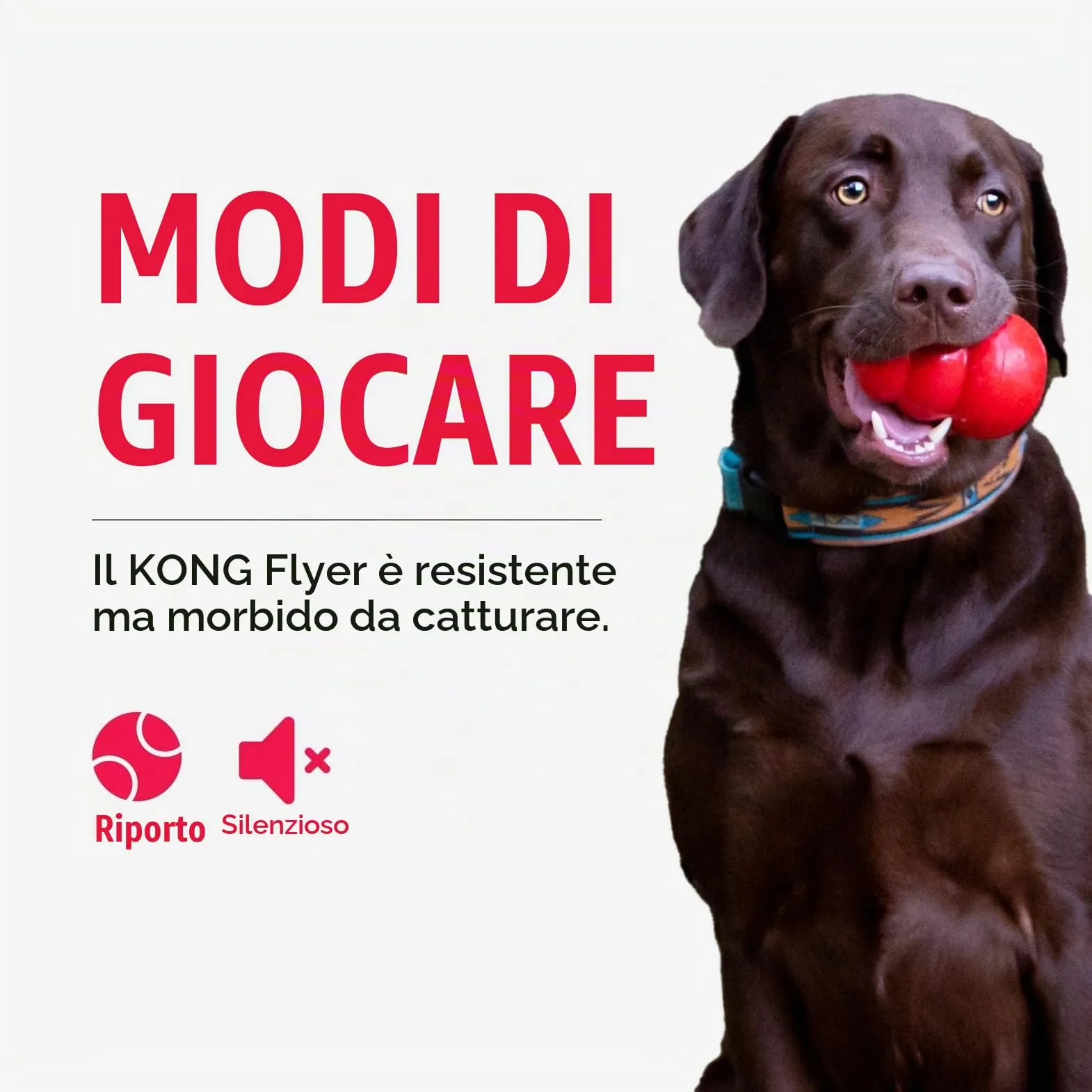 KONG Flyer Disco Volante in Gomma Naturale per Cani, Taglia Media/Grande - immagine 6
