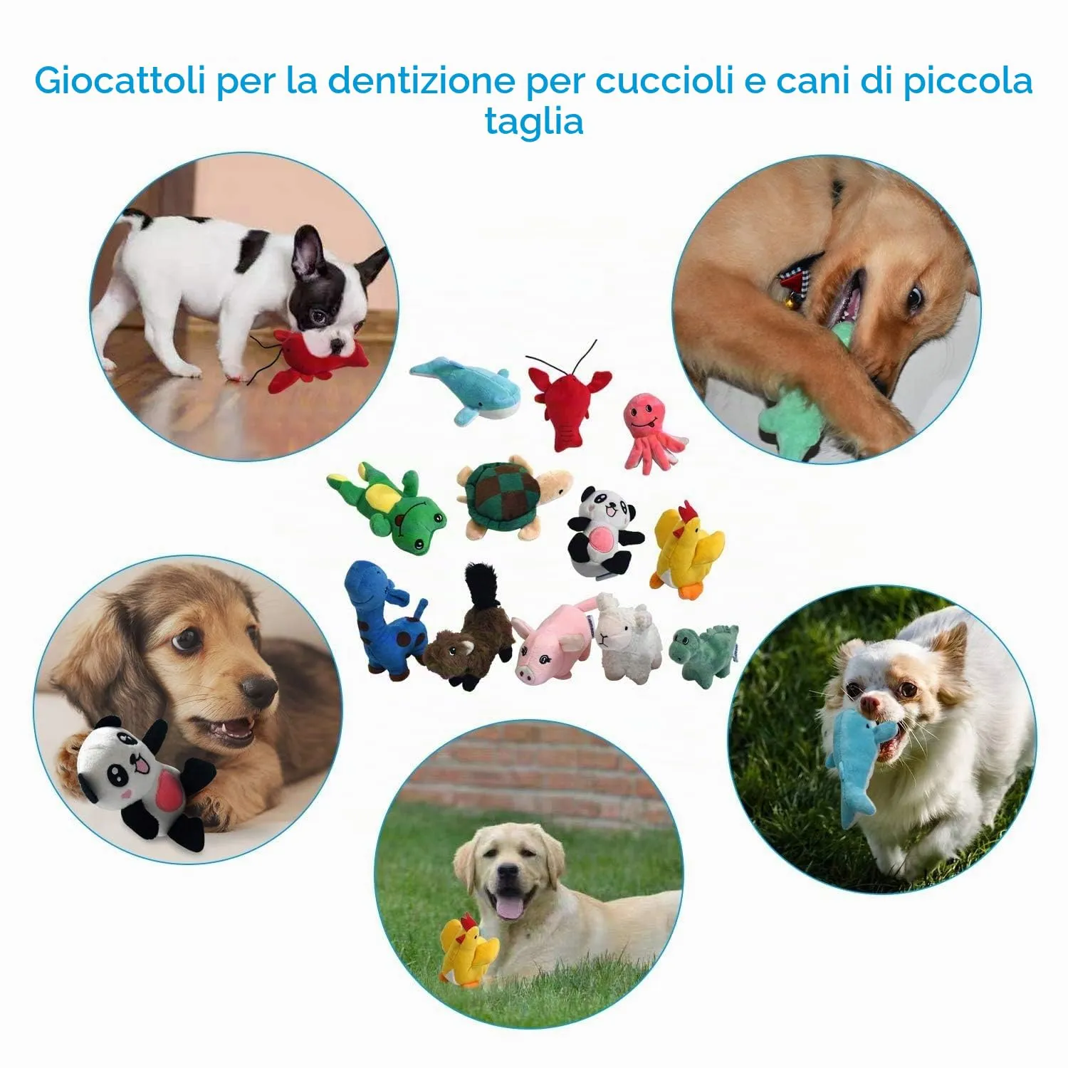 LEGEND SANDY Set di 12 giocattoli in peluche con sonaglio per cani di piccola e media taglia - immagine 5