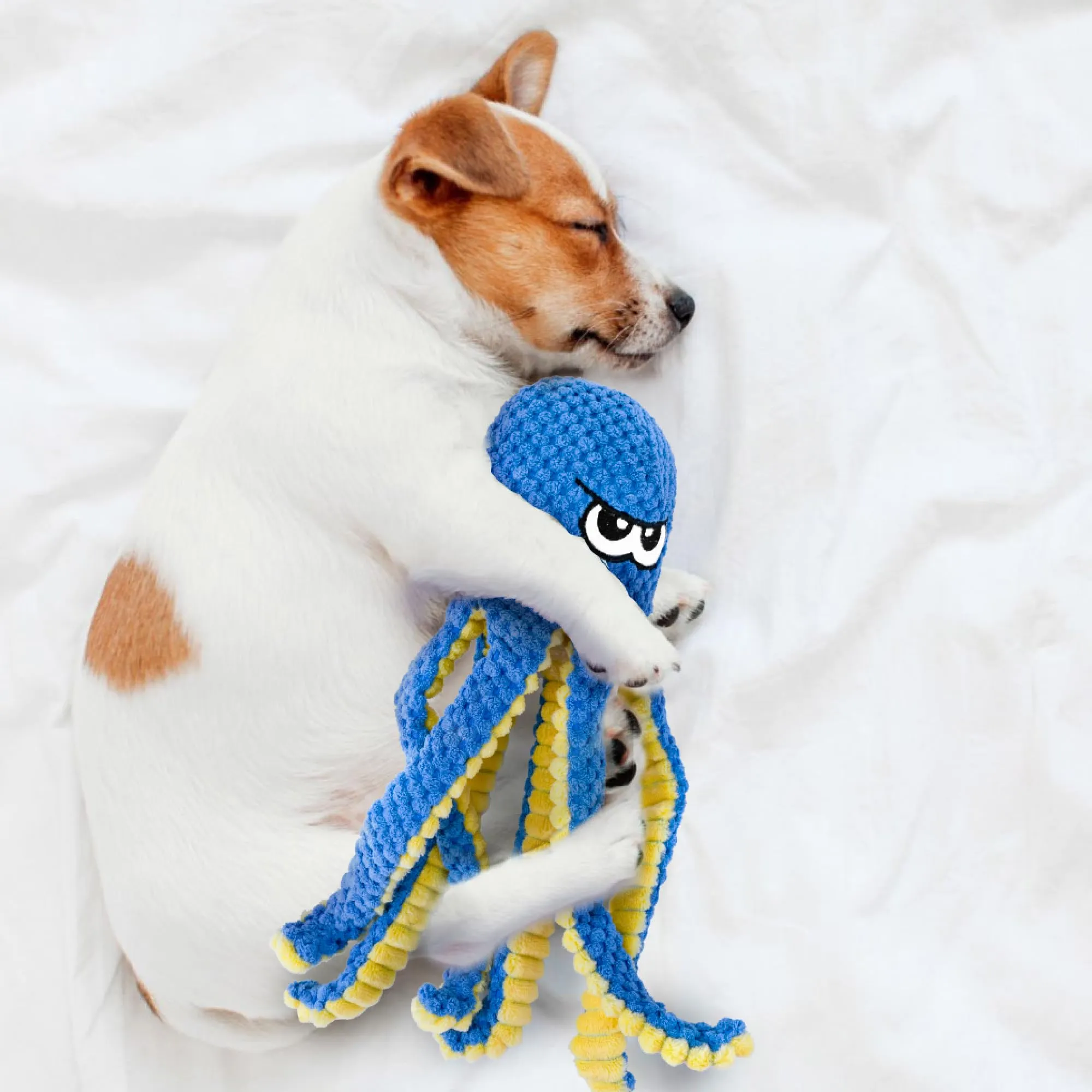 LEGEND SANDY Giocattoli Interattivi per Cani, Set da 4 Pezzi Puzzle Hide and Seek con Polpi in Peluche e Squeaker - immagine 9