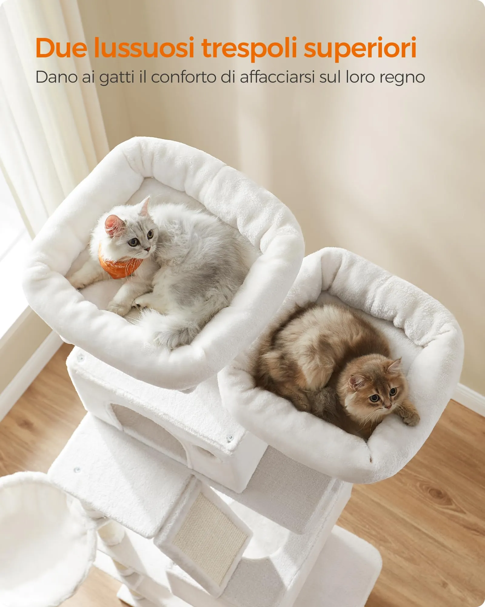 Feandrea Albero per Gatti XXL, 206 cm, con 13 Graffiatoi, 2 Posatoi, 2 Grotte, Cesto e Pompon, Bianco Crema PCT190T01 - immagine 3
