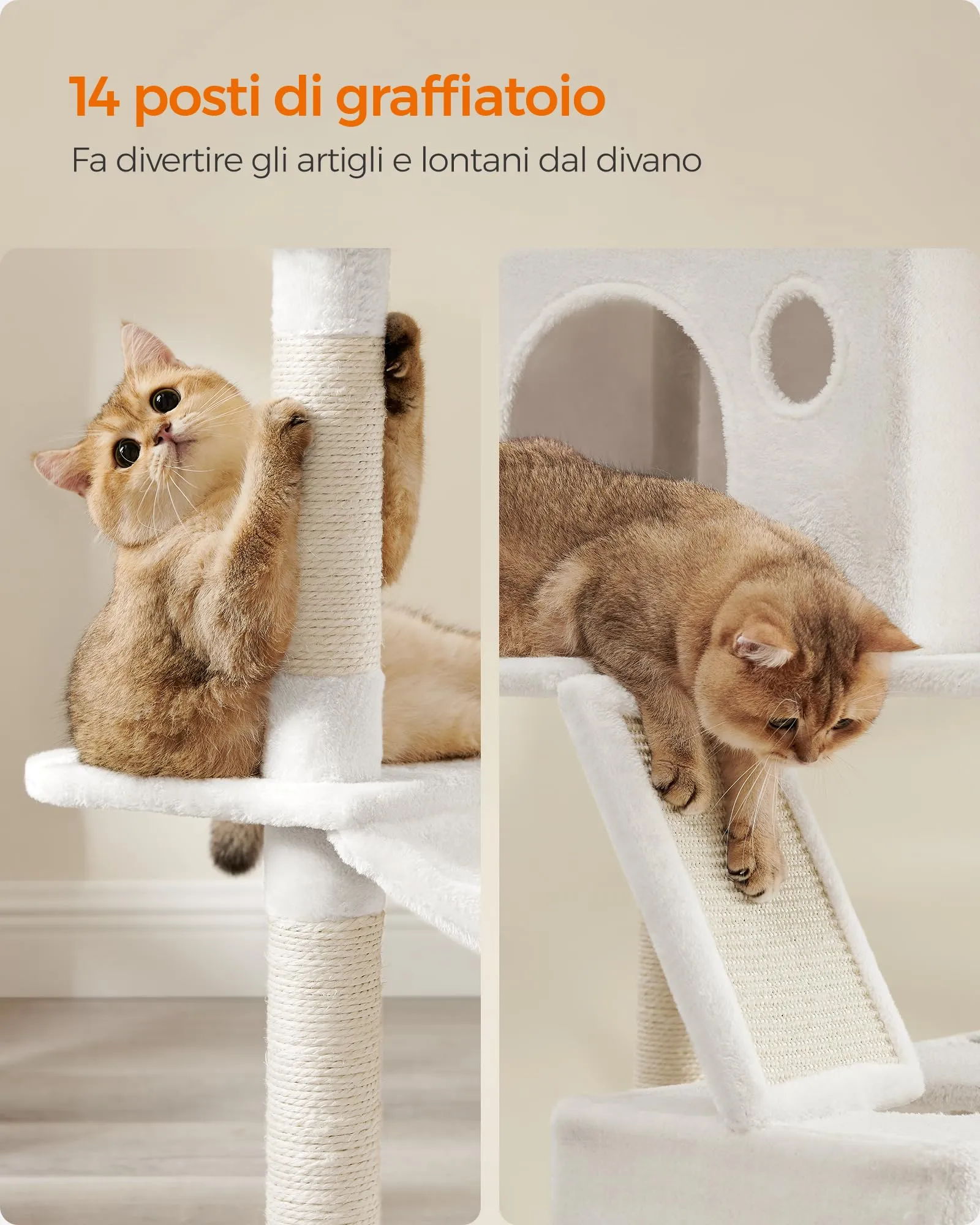 Feandrea Albero per Gatti XXL, 206 cm, con 13 Graffiatoi, 2 Posatoi, 2 Grotte, Cesto e Pompon, Bianco Crema PCT190T01 - immagine 5