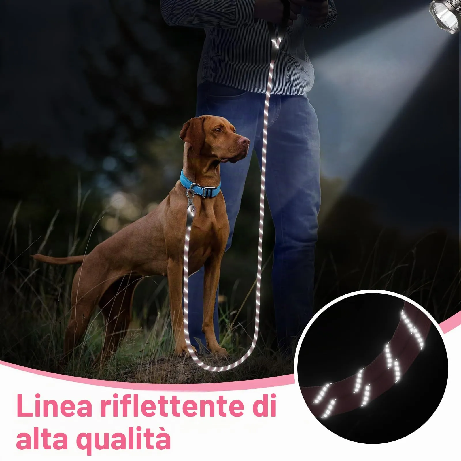 X XBEN Guinzaglio Addestramento per Cani, Corda di Nylon 8M x 8mm con Gancio di Sicurezza e Maniglia Imbottita - immagine 6