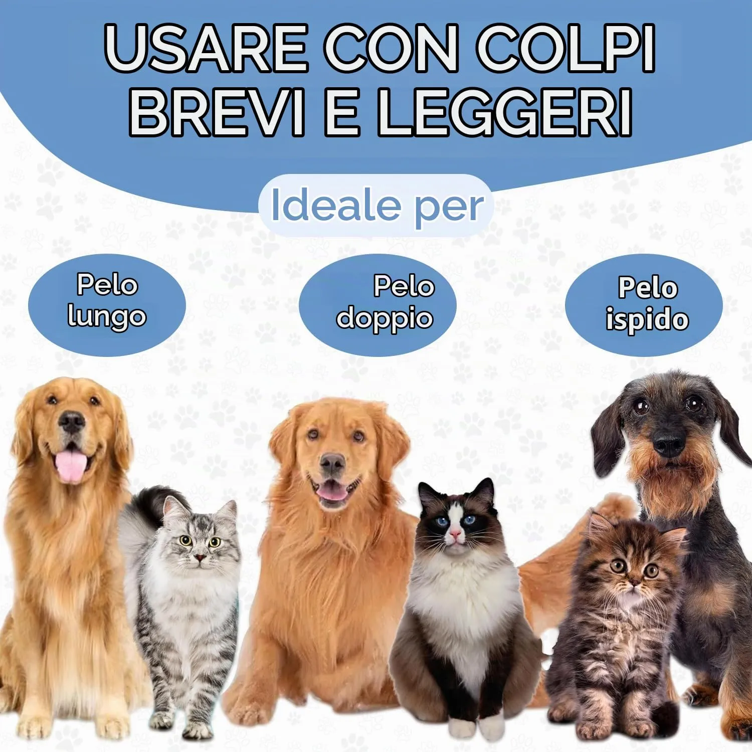 Candure Spazzola per Cani e Gatti in Acciaio Inossidabile, Doppia Faccia 17+9 Denti per Deshedding e Demattatura, Nera - immagine 4
