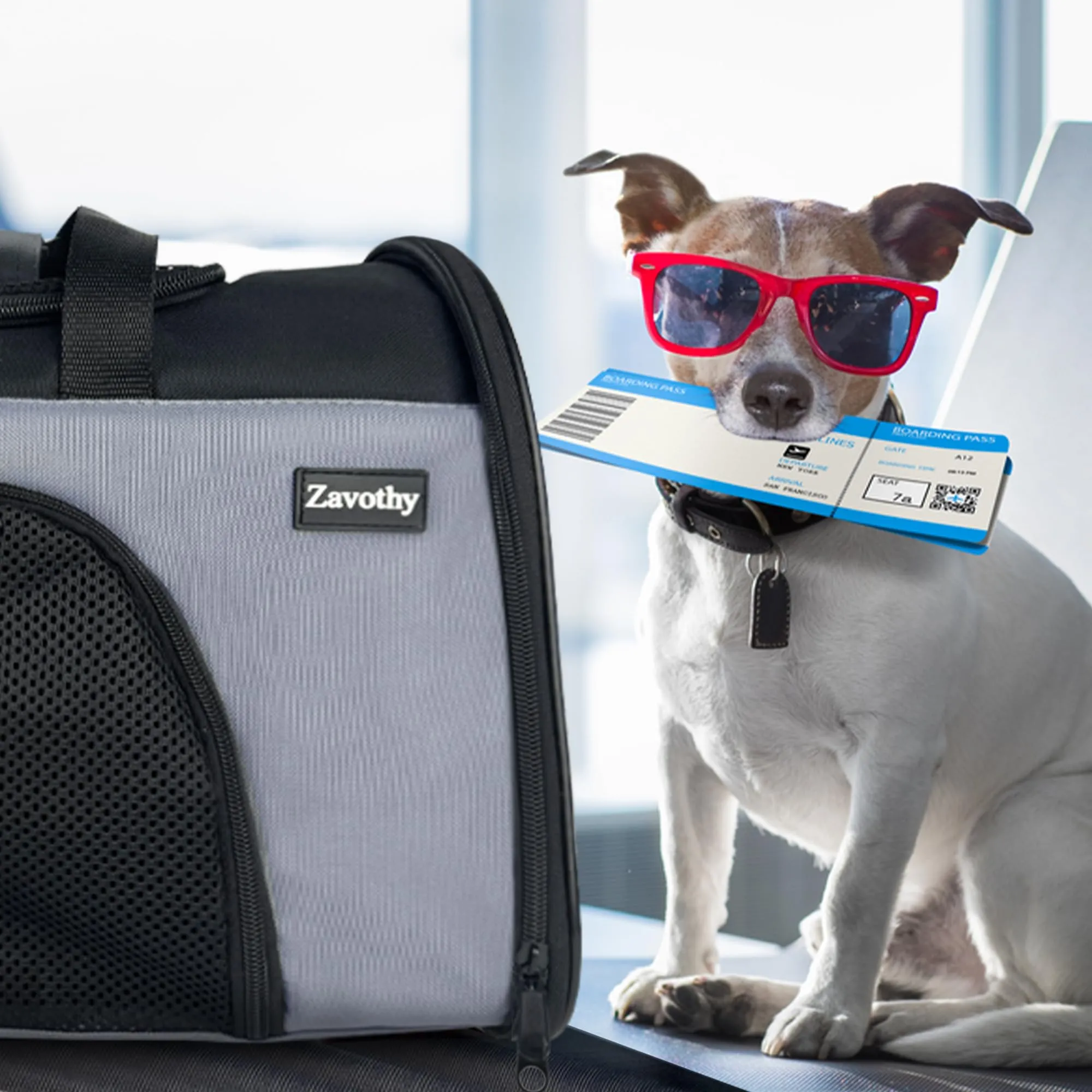 Zavothy Borsa per il Trasporto per Gatti e Cani, Traspirante e Pieghevole con Tracolla Regolabile e Materasso Rimovibile, S, Grigio - immagine 9