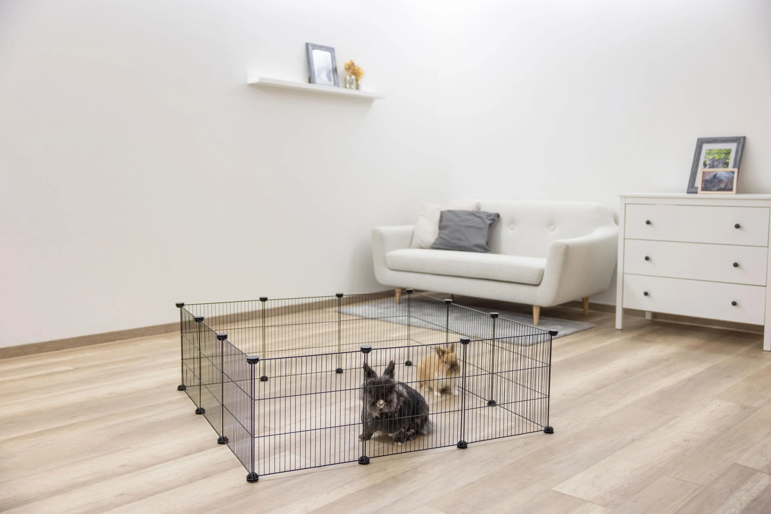 Kerbl Pet Recinti all'aperto Hopsi, 12 elementi in rete metallica 35x35cm - immagine 8