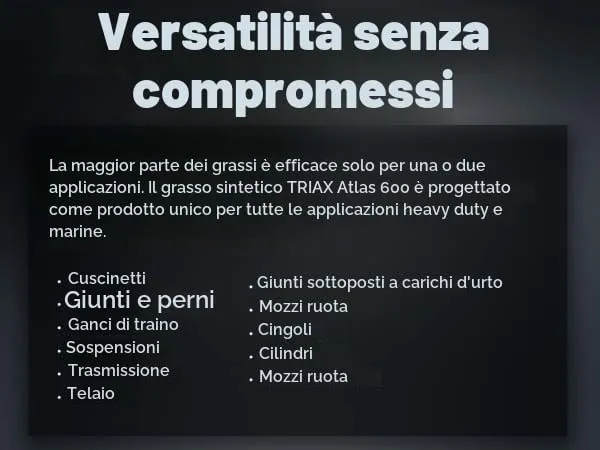 TRIAX Atlas 600 Grasso Sintetico Blu NLGI 2, 400g - immagine 6
