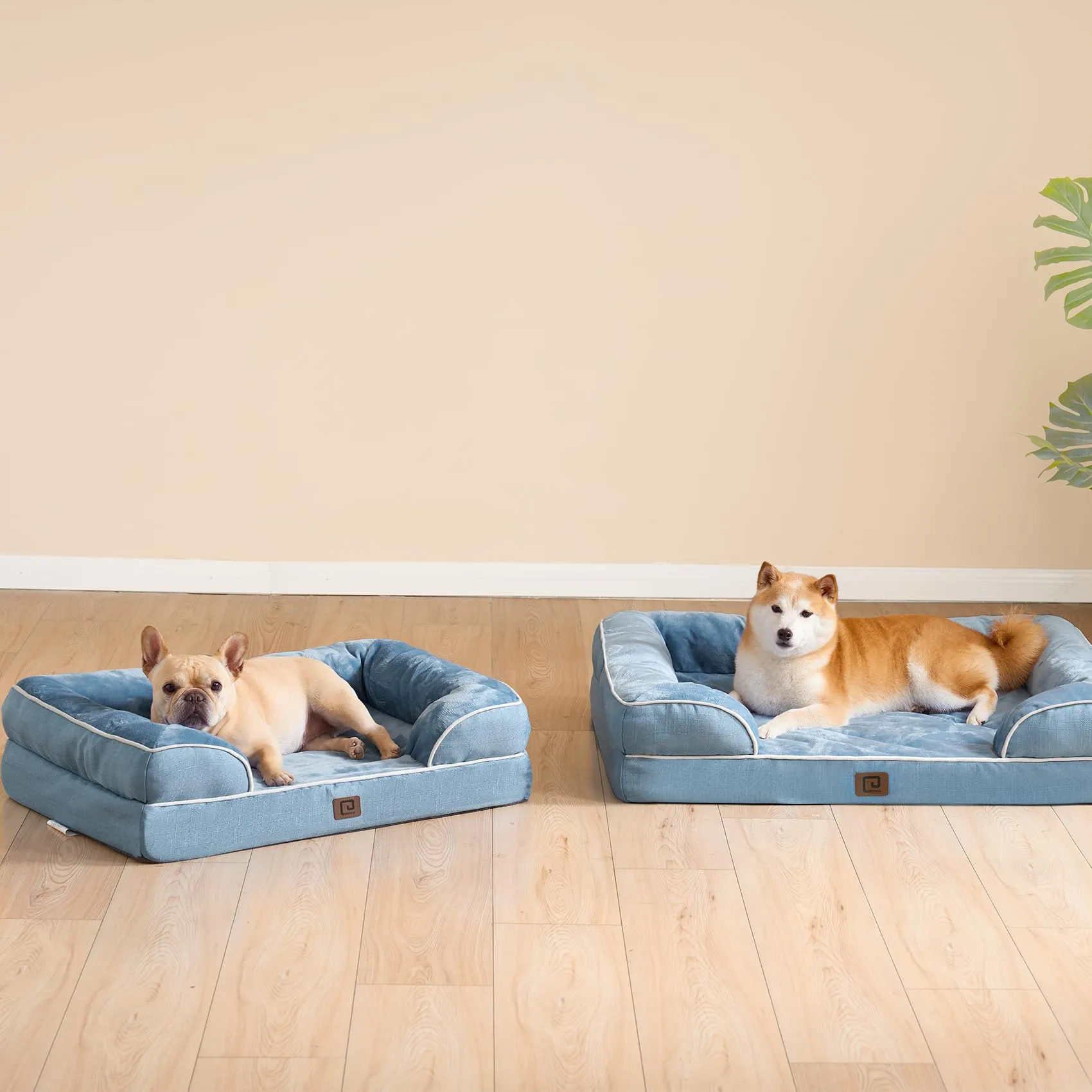 EHEYCIGA Cuccia Cane Interno Taglia Media, 91x68x16cm, Blu - immagine 8