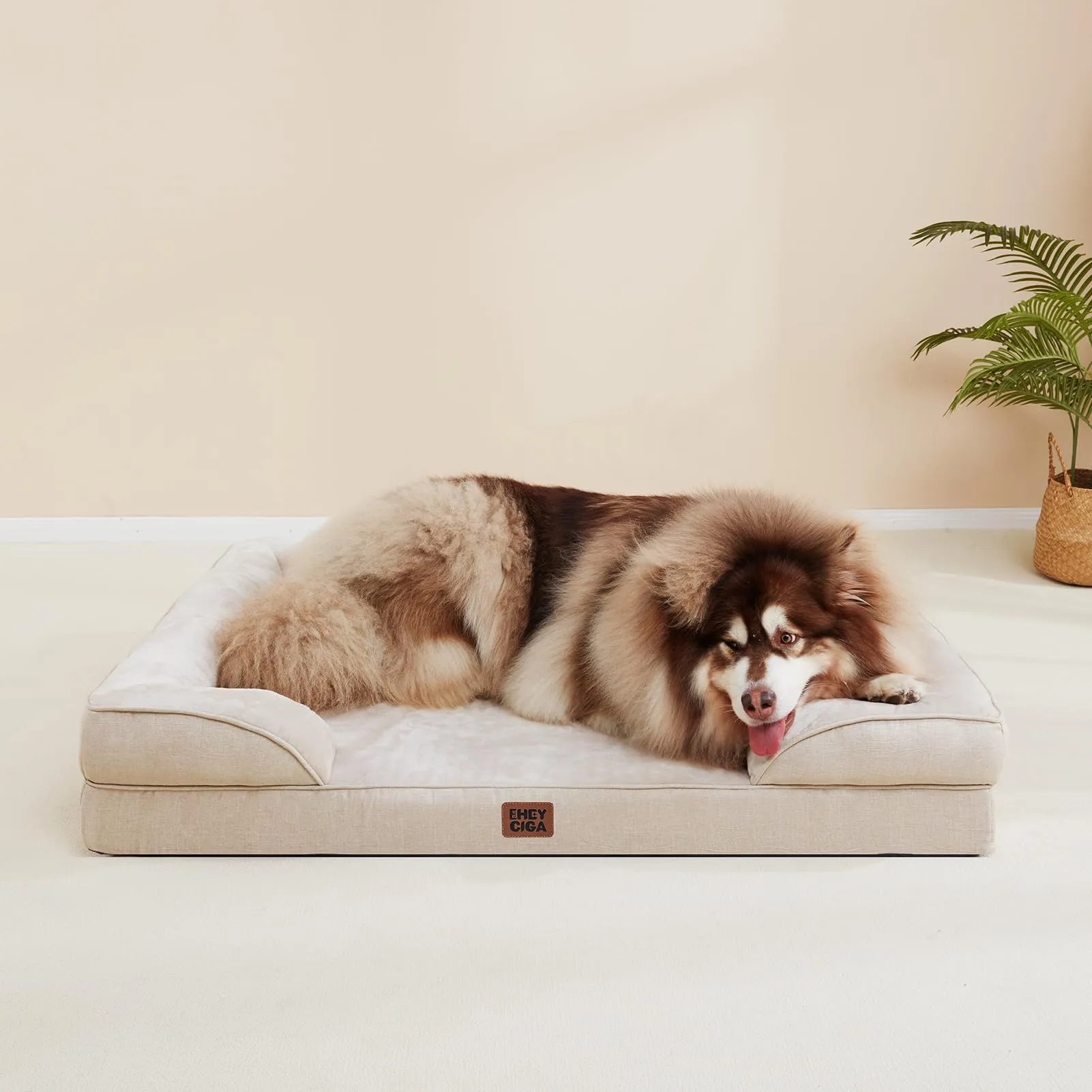 EHEYCIGA Cuccia Cane Interno Taglia Media, 76x51x16cm, Beige - immagine 9