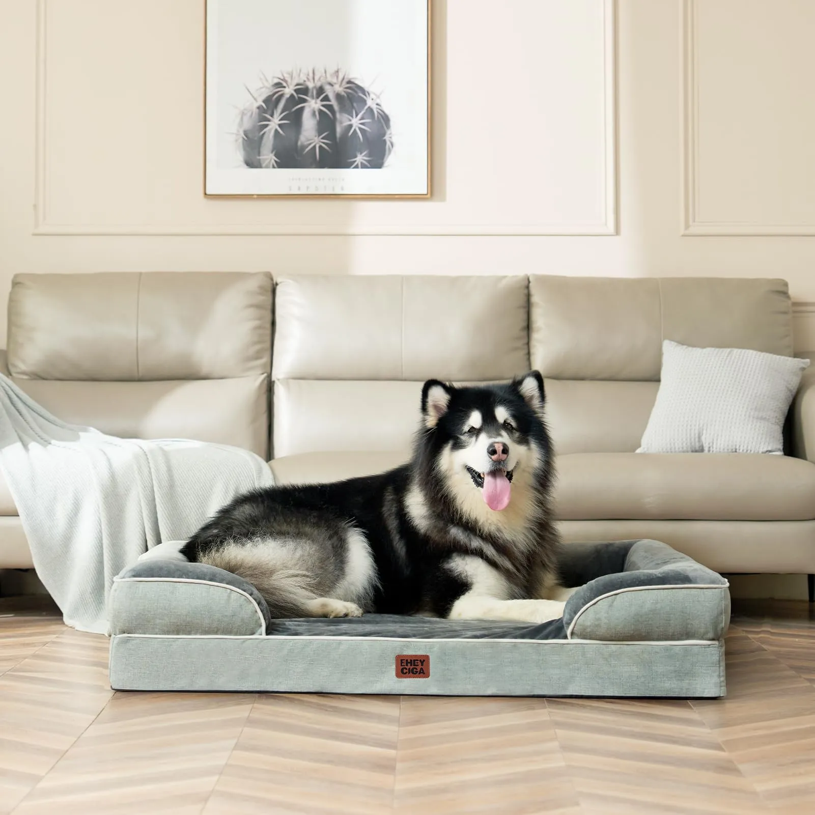 EHEYCIGA Cuccia Cane Interno, 132x104x20cm, Verde - immagine 8