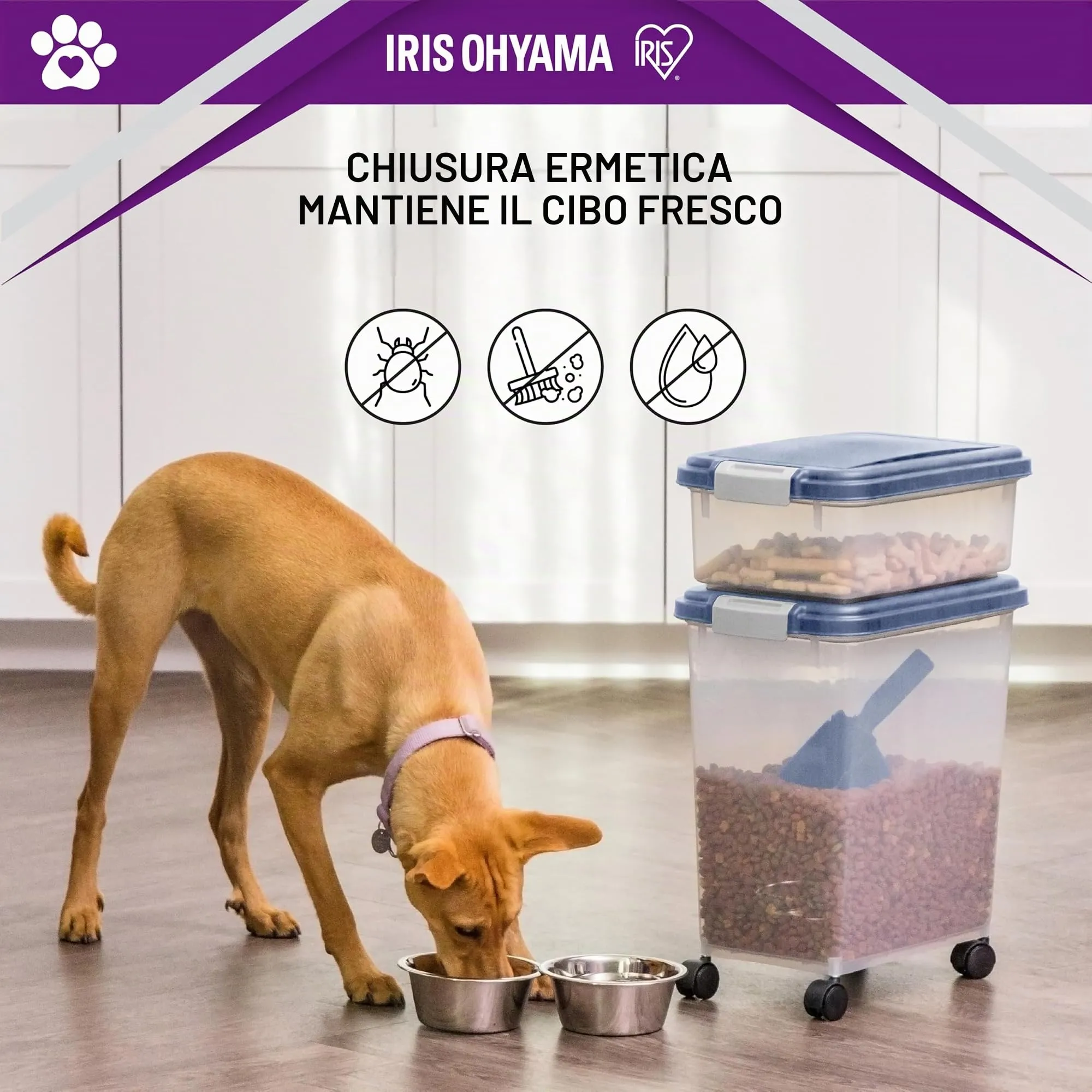 Iris Ohyama Contenitore per Crocchette Ermetico 30L+10L, Blu, MP-8&MP-1 - immagine 4