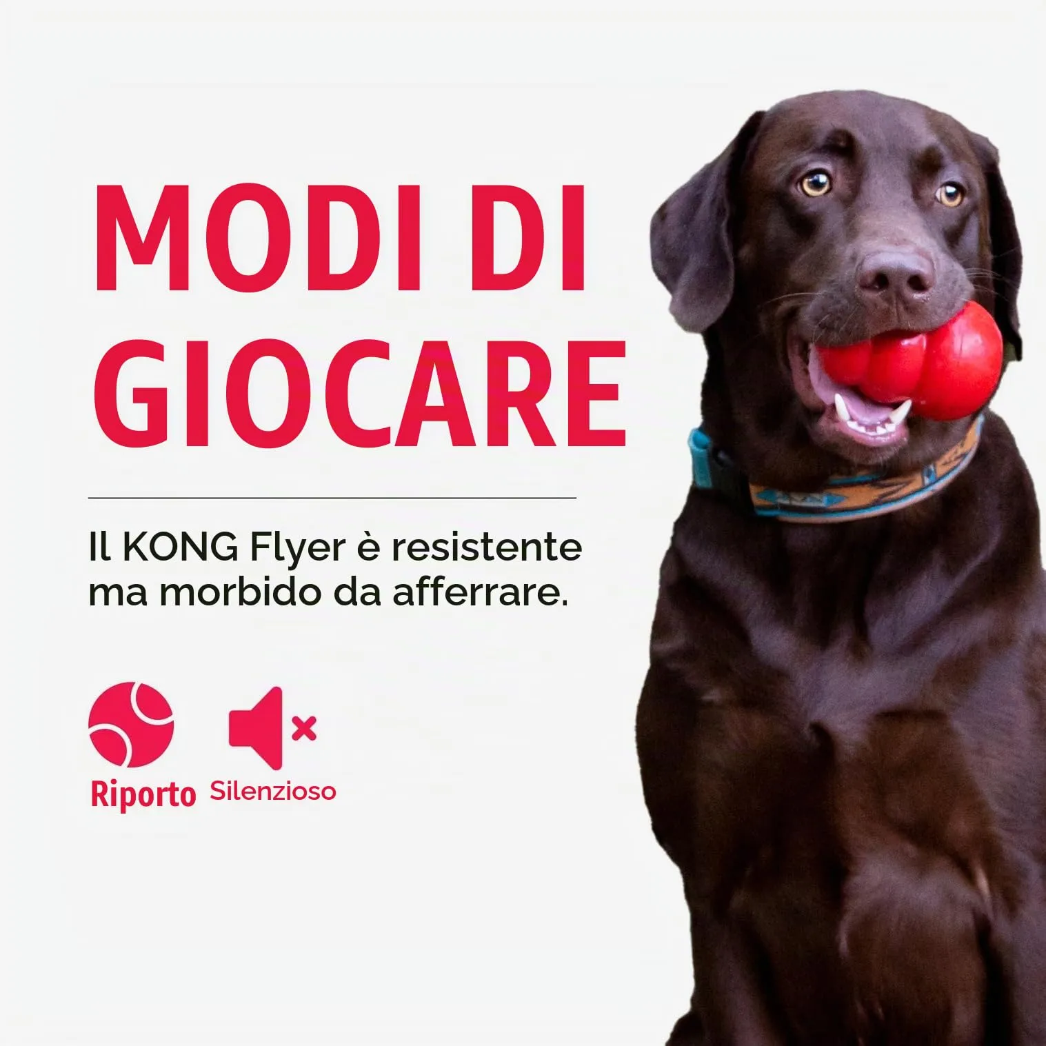 KONG Flyer Disco Volante in Gomma Naturale per Cani, Small - immagine 6