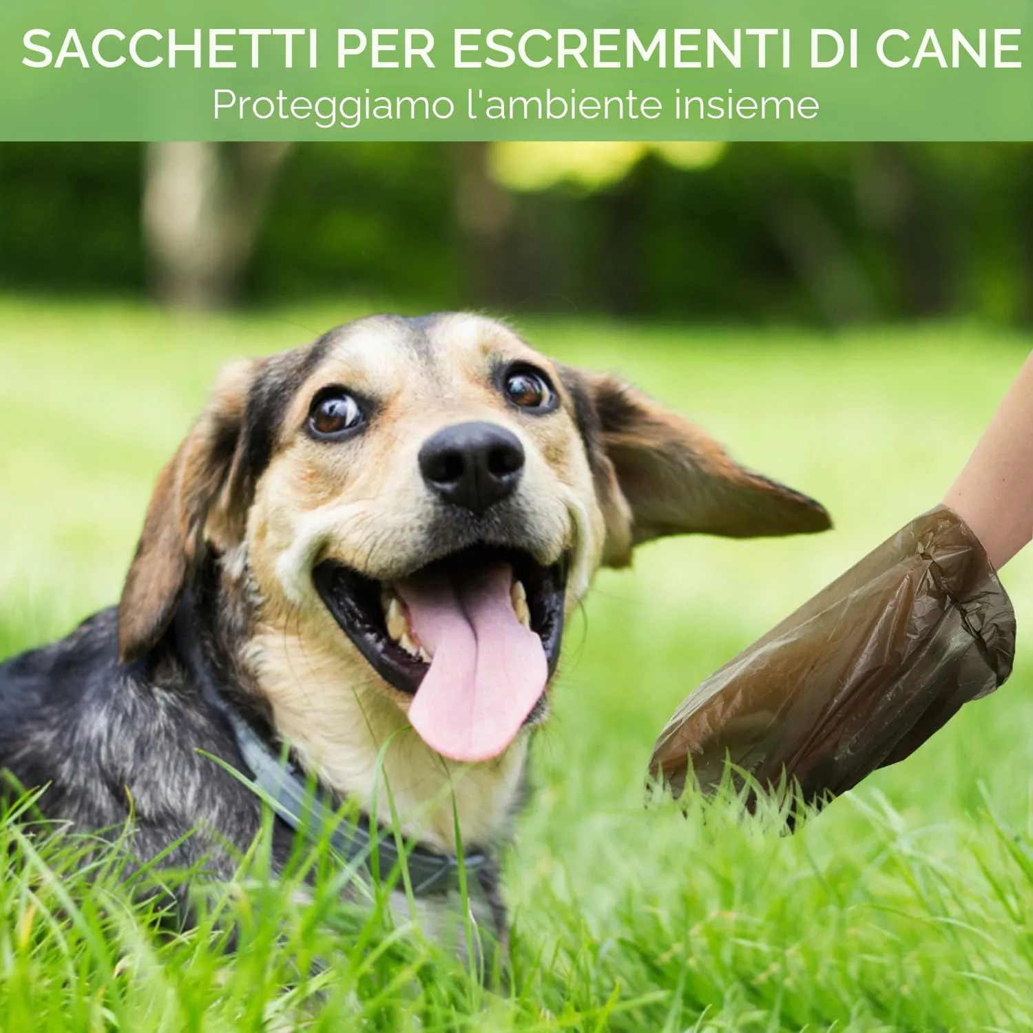 Nobleza Borsa per escrementi per cani, 300 sacchetti, 20 rotoli, nero - immagine 8