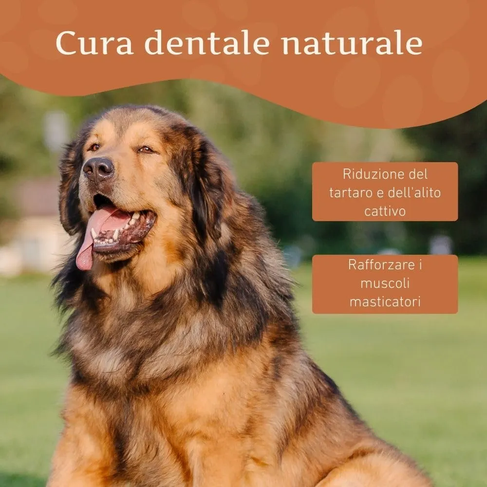 Wildfang Snack in Formaggio Duro XL per Cani oltre 45 kg, 142 g - immagine 8