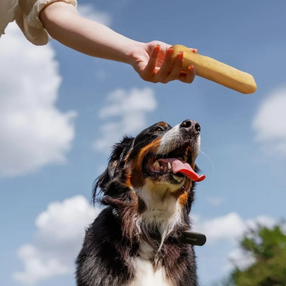Wildfang Snack in Formaggio Duro XL per Cani oltre 45 kg, 142 g - immagine 9
