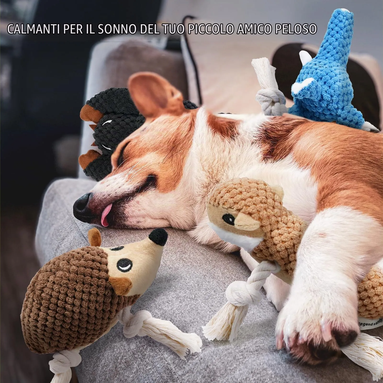 LEGEND SANDY Giocattoli di peluche per cani di piccola taglia con corde e squittio, confezione da 5 pezzi - immagine 7