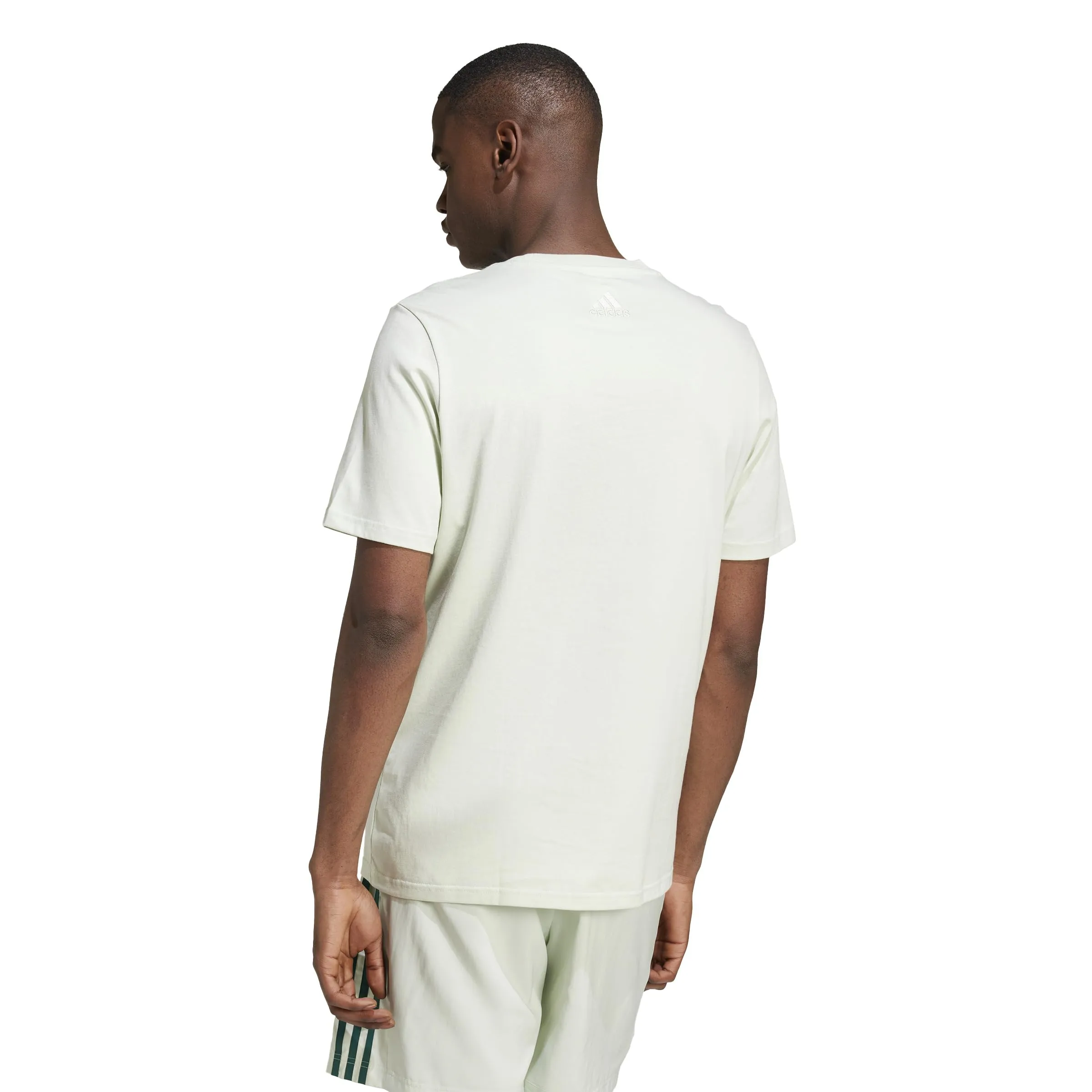 adidas Essentials Single Jersey Big Logo Tee, Linen Green/Collegiate Green, S - immagine 2