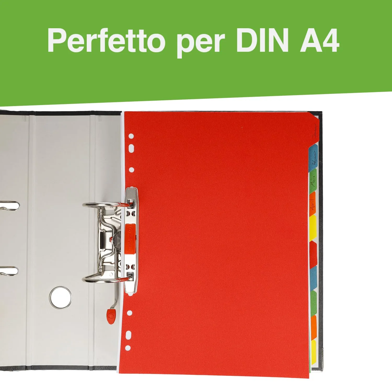 Westcott Linguette per Cartelle A4, 10 Pezzi, 5 Colori, 160g/m², E-2733312 00 - immagine 2