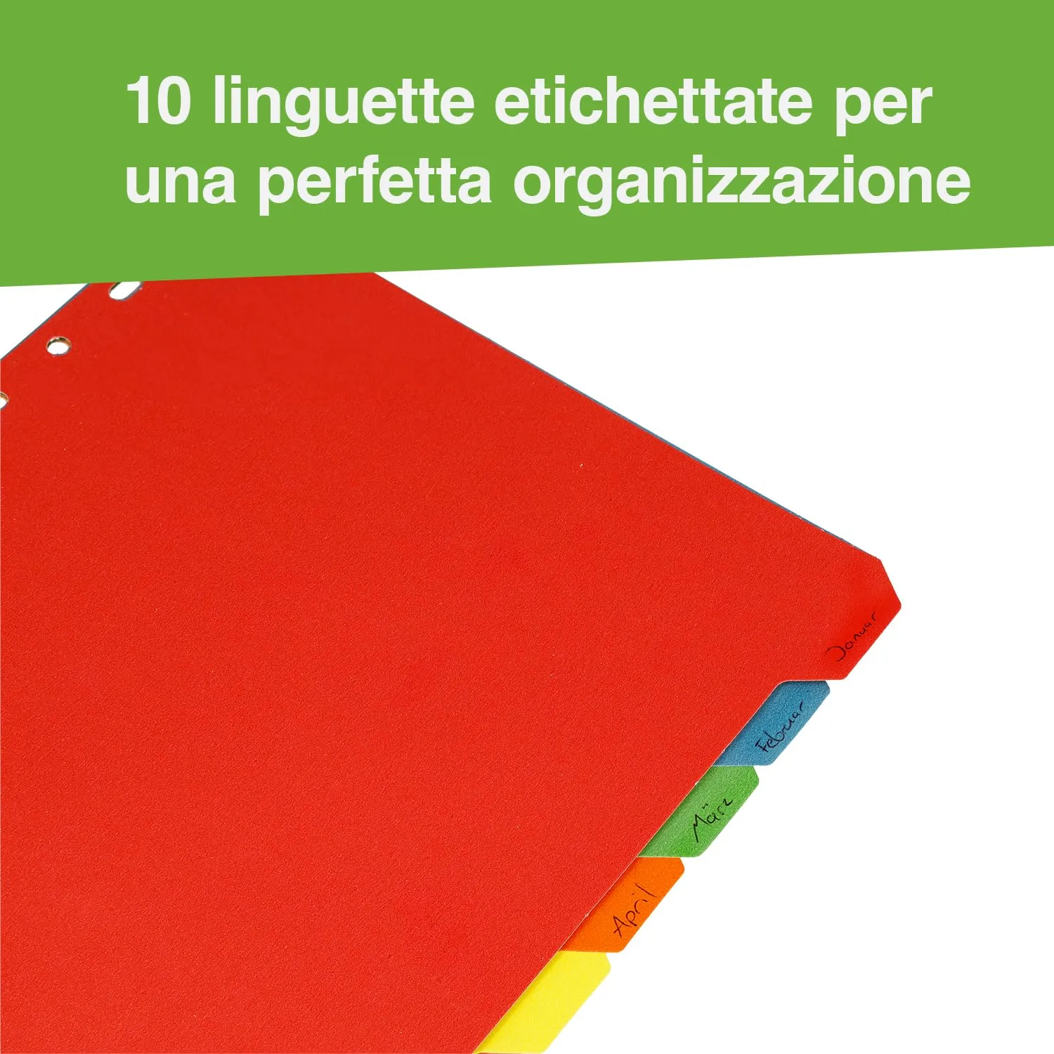 Westcott Linguette per Cartelle A4, 10 Pezzi, 5 Colori, 160g/m², E-2733312 00 - immagine 3