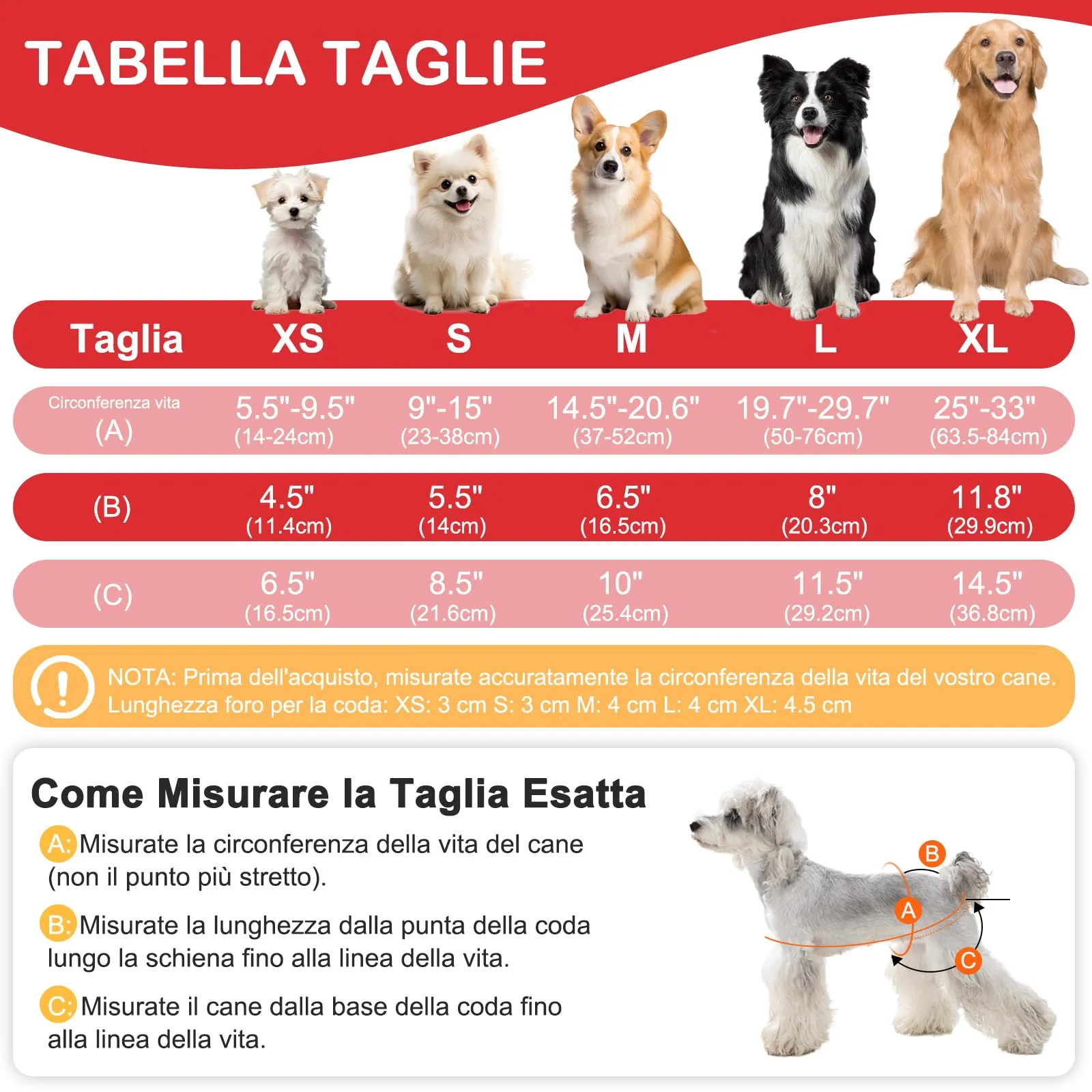 UFO PET Mutandine Lavabili per Cane Femmina in Calore, Taglia M, 3 Pezzi - immagine 2
