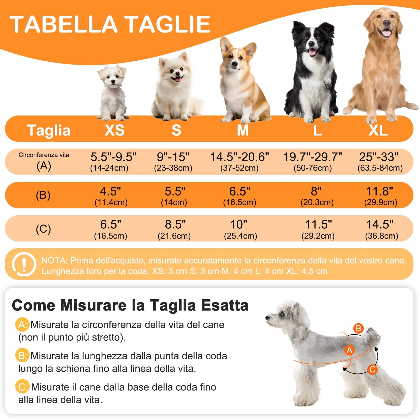 UFO PET Mutandine Lavabili per Cane Femmina, Taglia M, 3 Pezzi - immagine 2
