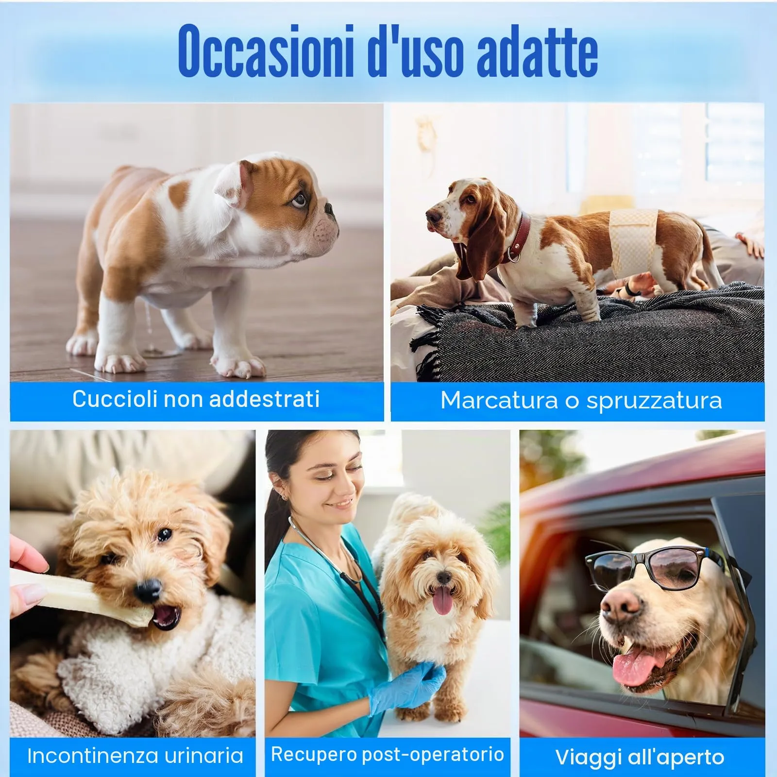 MICOOYO Pannolini usa e getta per cani maschi con indicatore di umidità, S, confezione da 50 - immagine 5