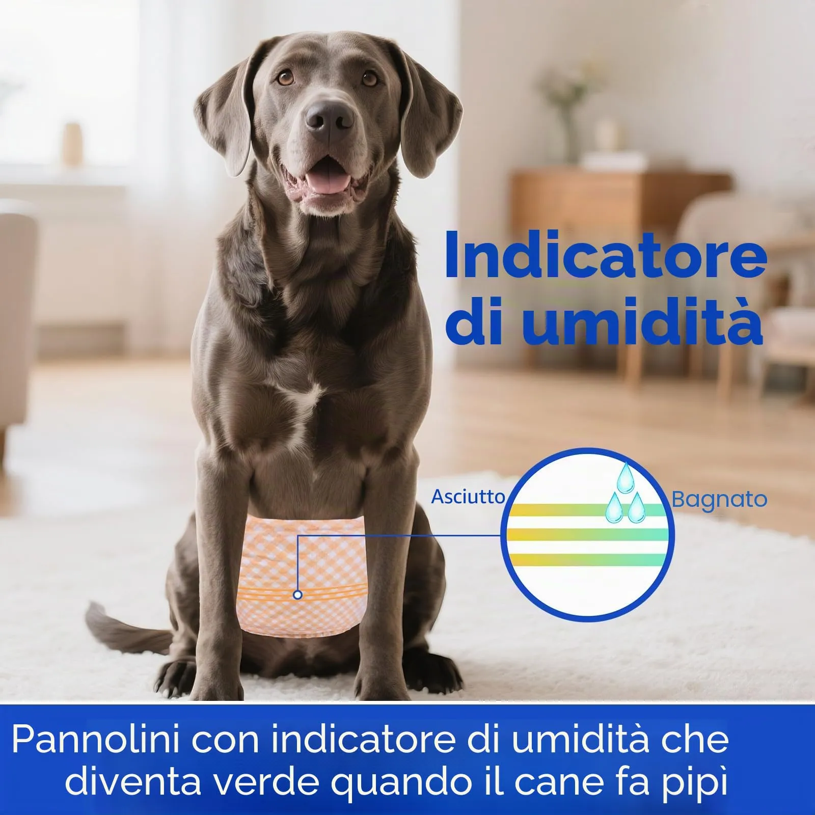 MICOOYO Pannolini usa e getta per cani maschi con indicatore di umidità, M, confezione da 20 - immagine 3