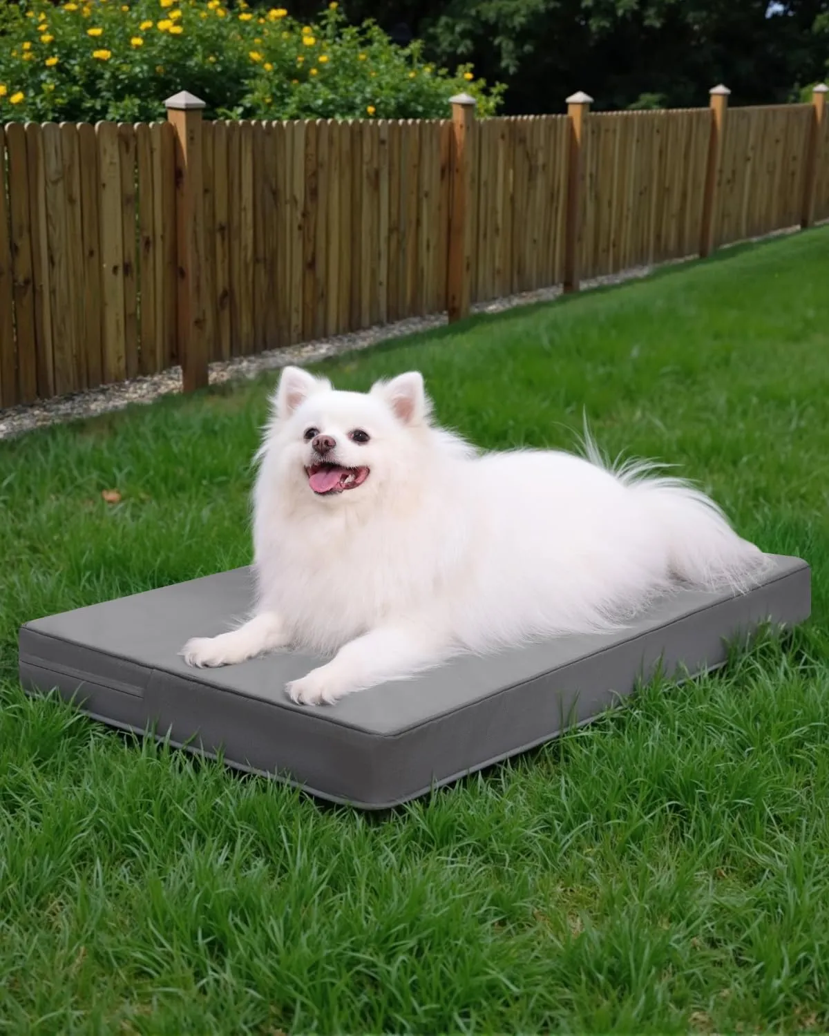 Favodormir Cuccia Cane Interno Ortopedica in Ecopelle Impermeabile, Grigio, 73 x 45 x 7 cm - immagine 8