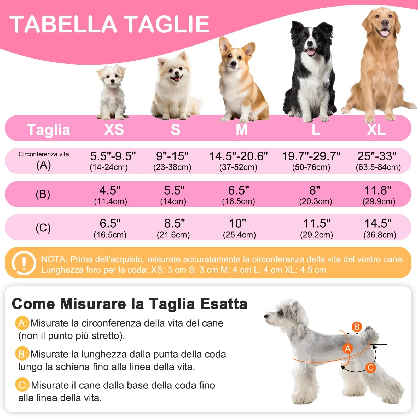 UFO PET Mutandine Lavabili per Cane Femmina, Taglia S, 3 Pezzi - immagine 2