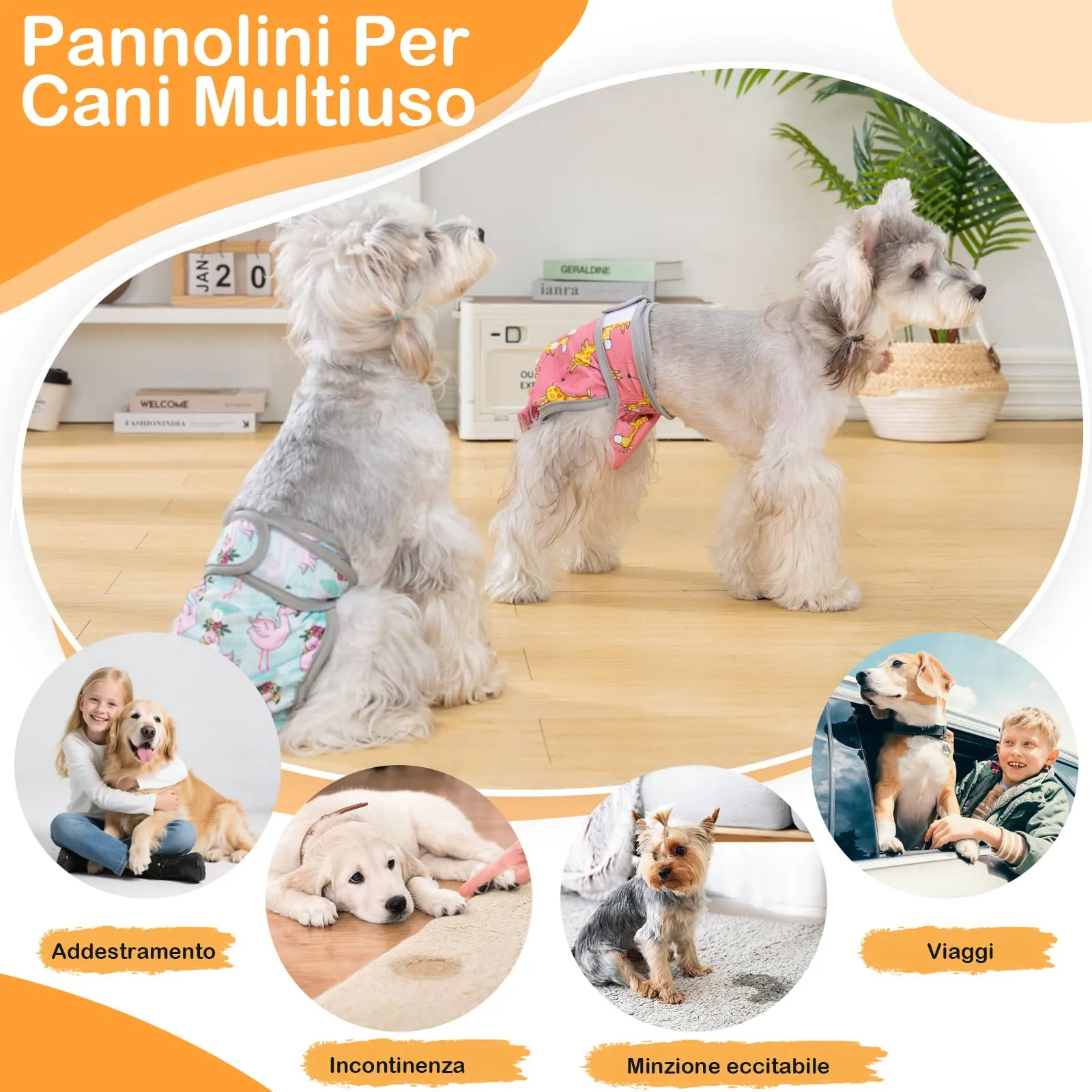 UFO PET Mutandine Lavabili per Cane Femmina, XS (3 Pezzi) - immagine 7