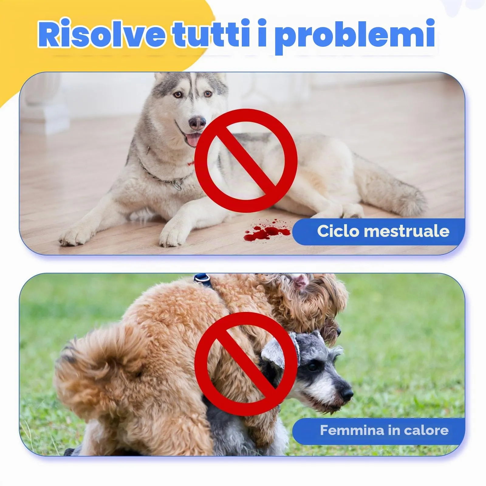 JUNUNDJING Pannolini Riutilizzabili per Cani Femmina con 8 Assorbenti, M - immagine 5