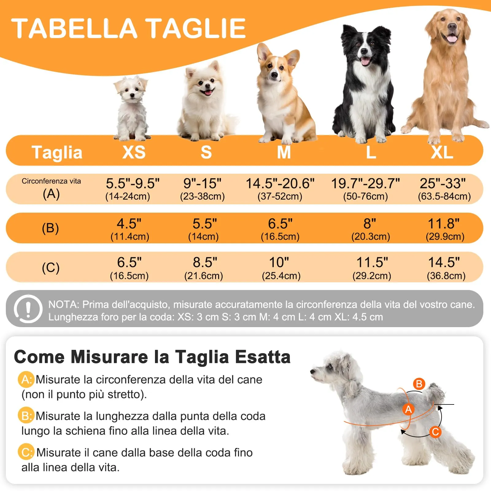 UFO PET Mutandine Lavabili per Cane Femmina, Taglia M, 3 Pezzi - immagine 2