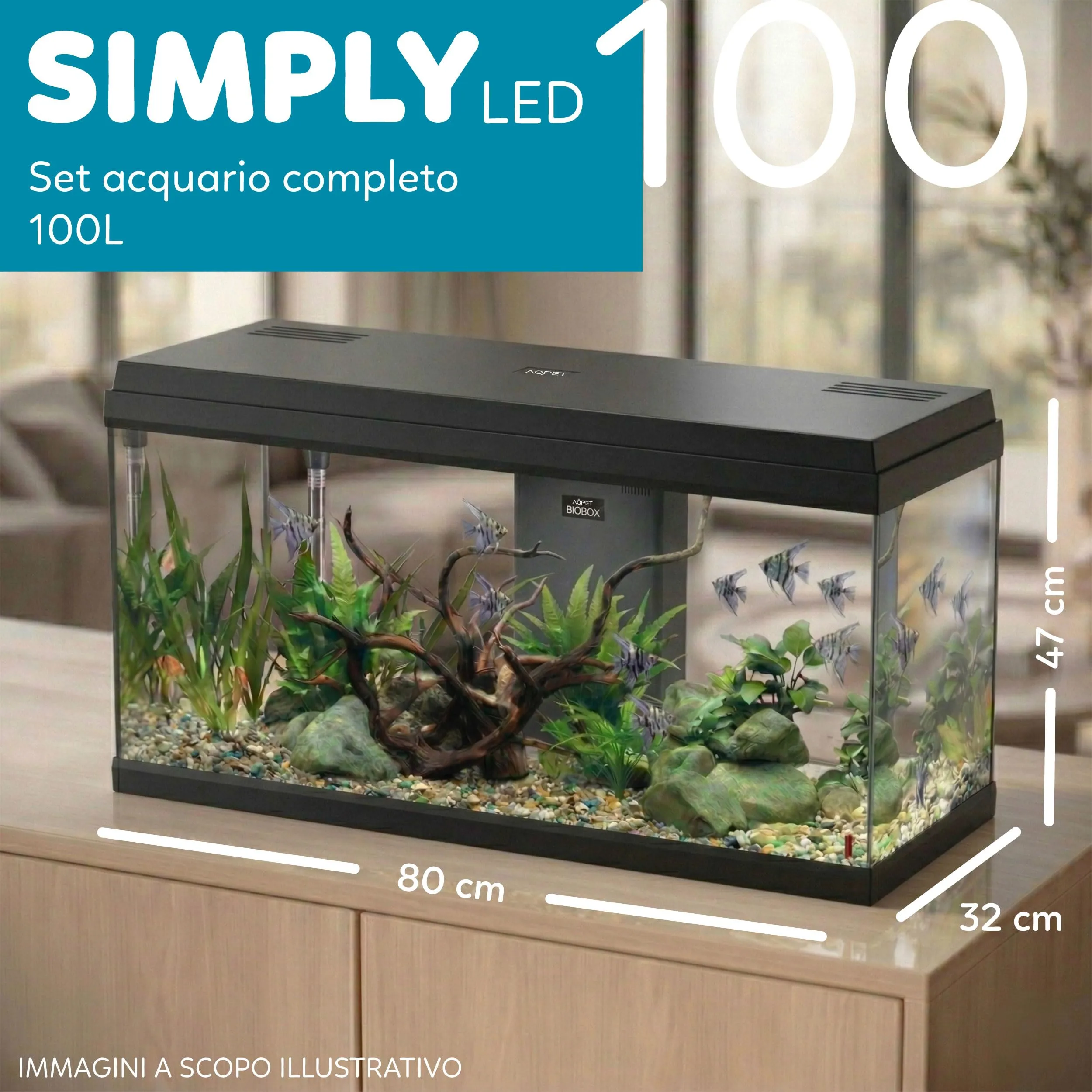 Aqpet Acquario in Vetro per Pesci Tropicali con Filtro, Luce e Riscaldatore, 80x32x47 cm, 100 Litri - immagine 2