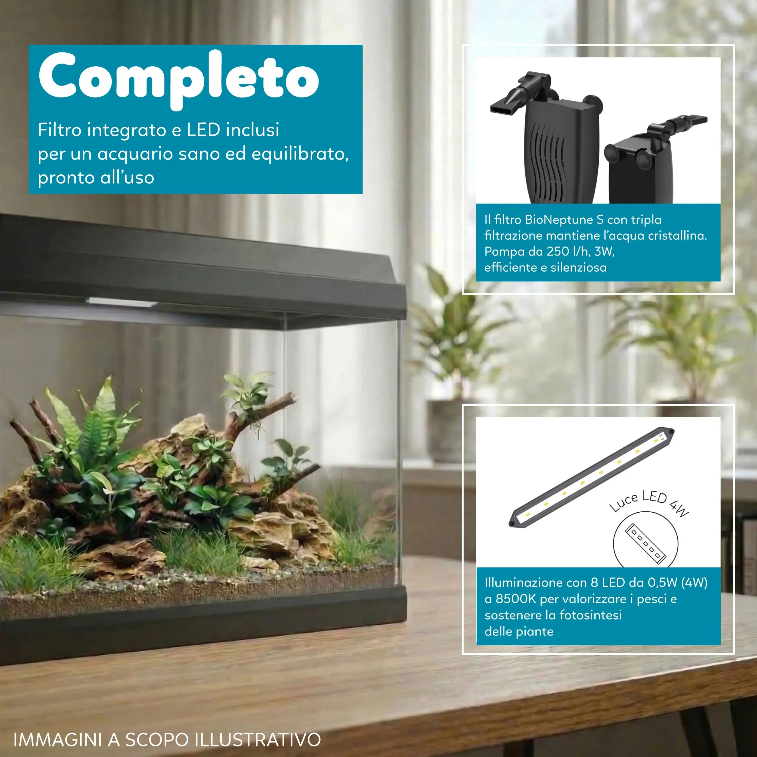 AQPET Acquario in Vetro per Pesci Tropicali Simply, 30 Litri, 39x22x30 cm, con Filtro e Luce - immagine 3