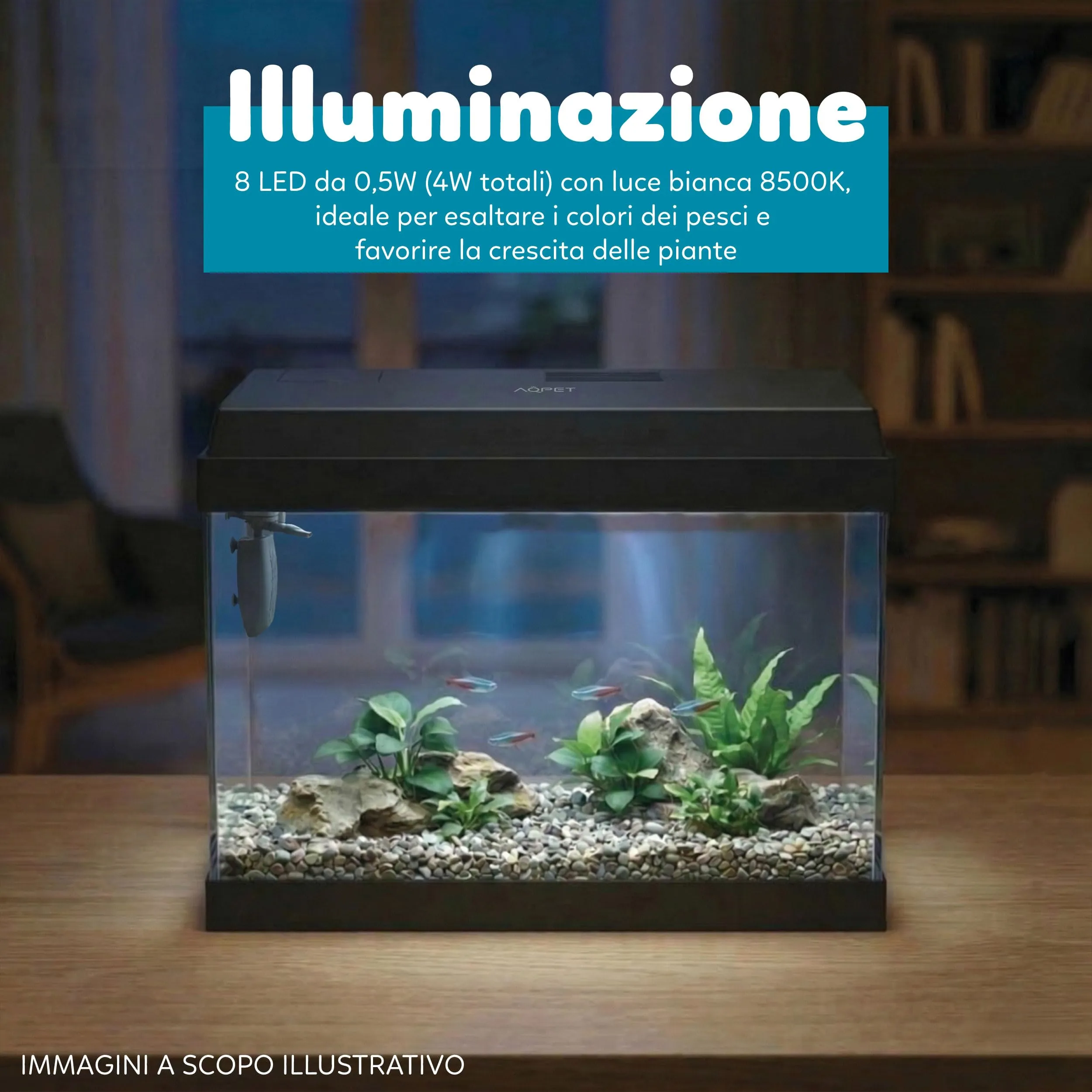 AQPET Acquario in Vetro per Pesci Tropicali Simply, 30 Litri, 39x22x30 cm, con Filtro e Luce - immagine 4