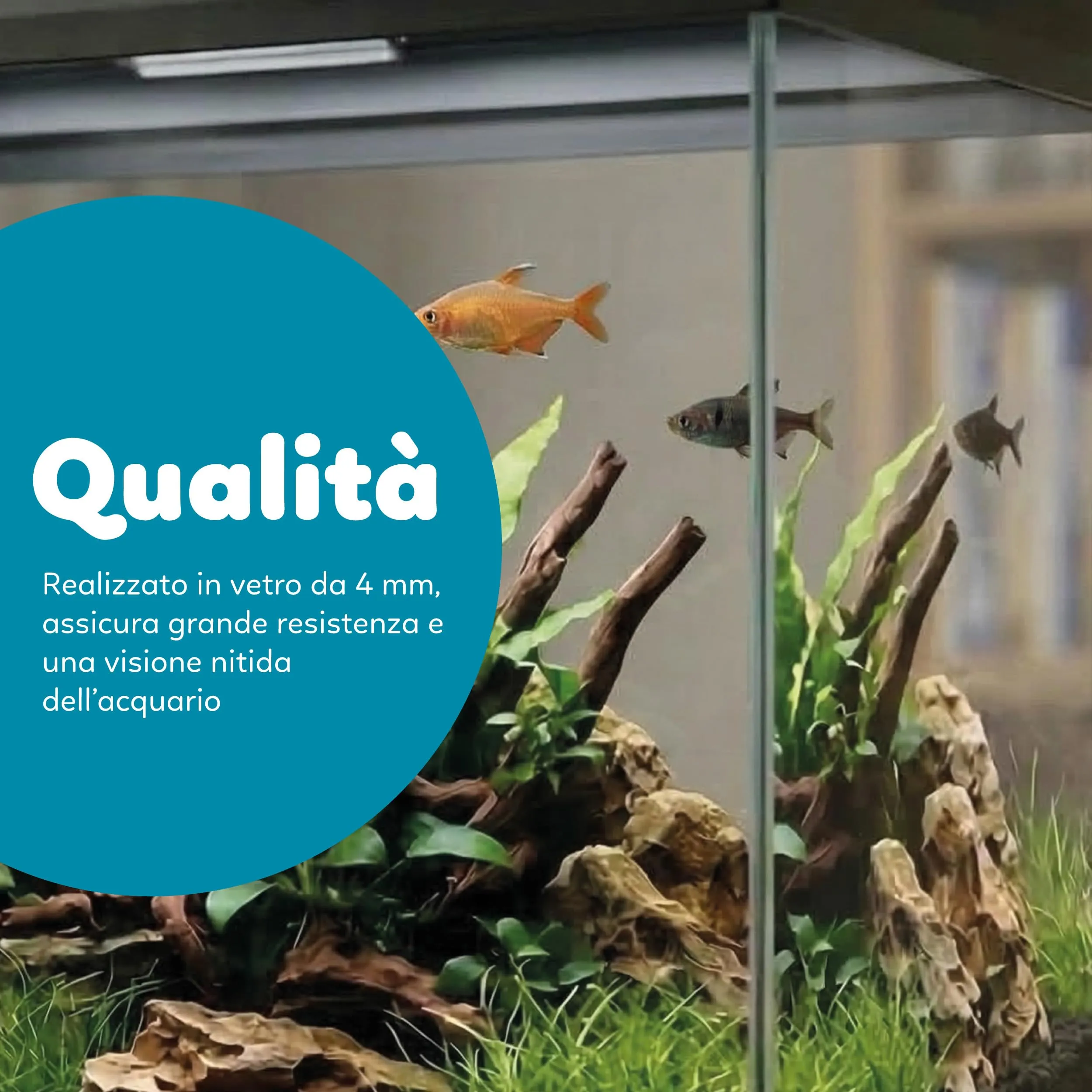 AQPET Acquario in Vetro per Pesci Tropicali Simply, 30 Litri, 39x22x30 cm, con Filtro e Luce - immagine 6