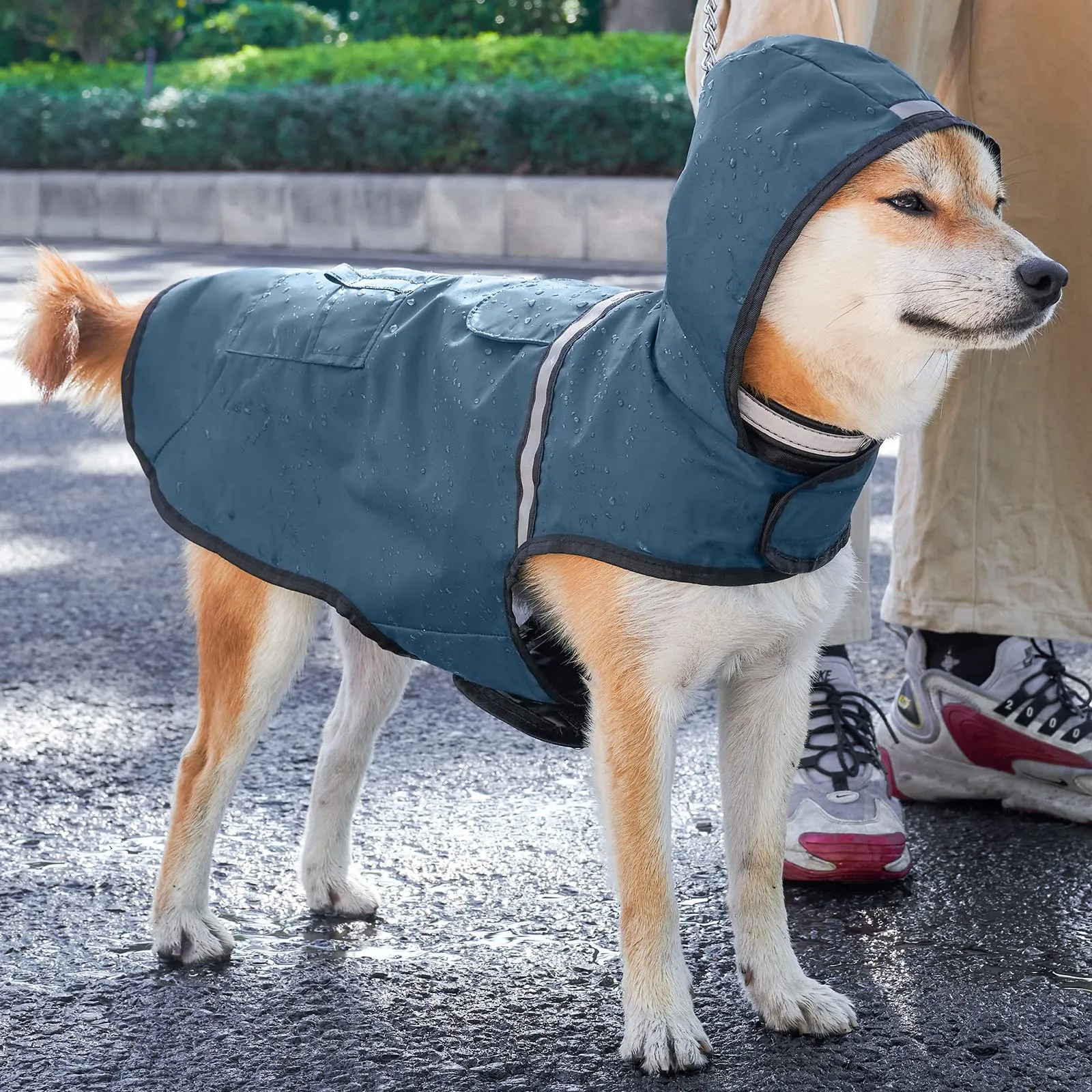 KoKoBin Giacca Impermeabile Riflettente per Cani con Cappuccio, Blu Grigiastro, XL - immagine 6