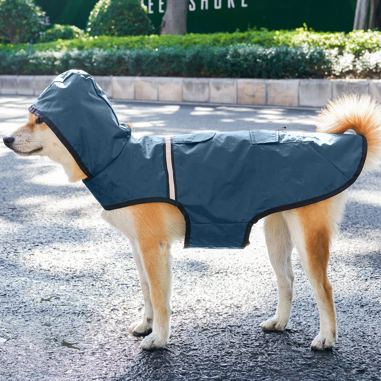KoKoBin Giacca Impermeabile e Riflettente per Cani con Cappuccio, Blu Grigiastro, XXL - immagine 5