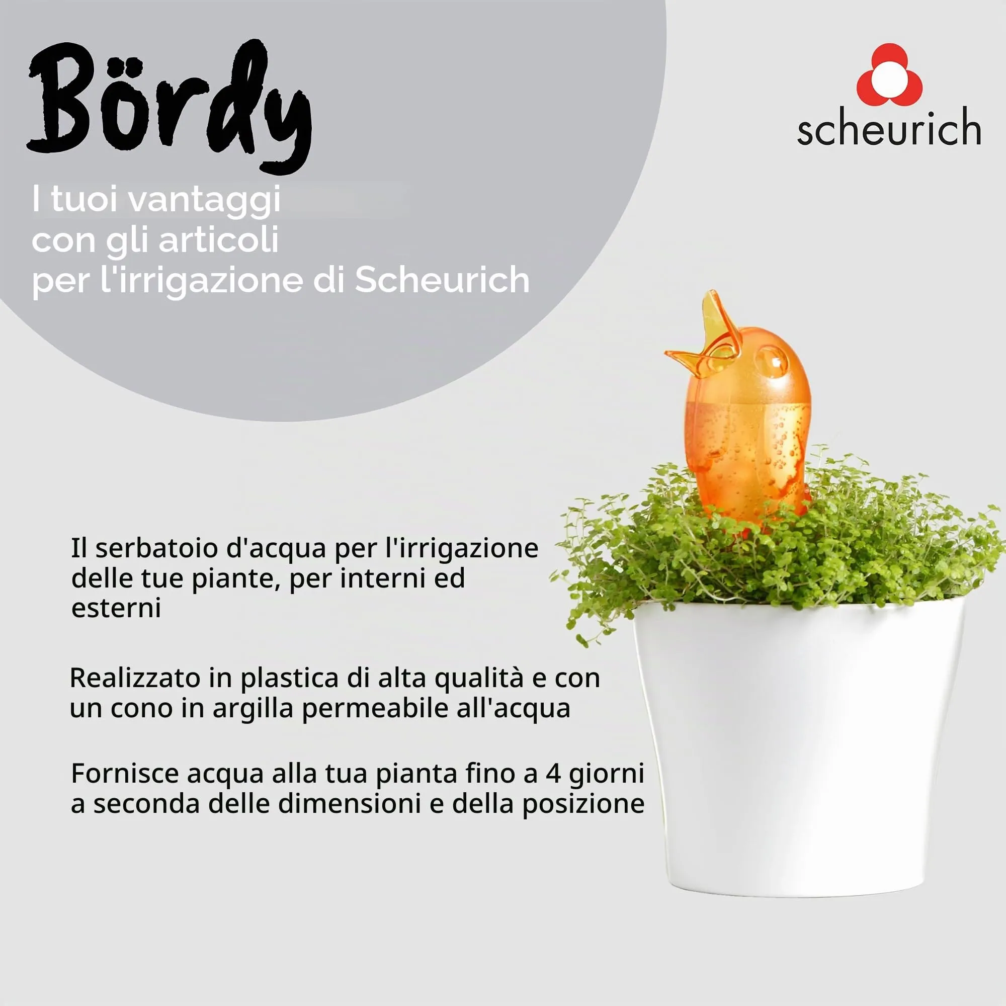 Scheurich Accessori Bördy S, Arancione - immagine 5