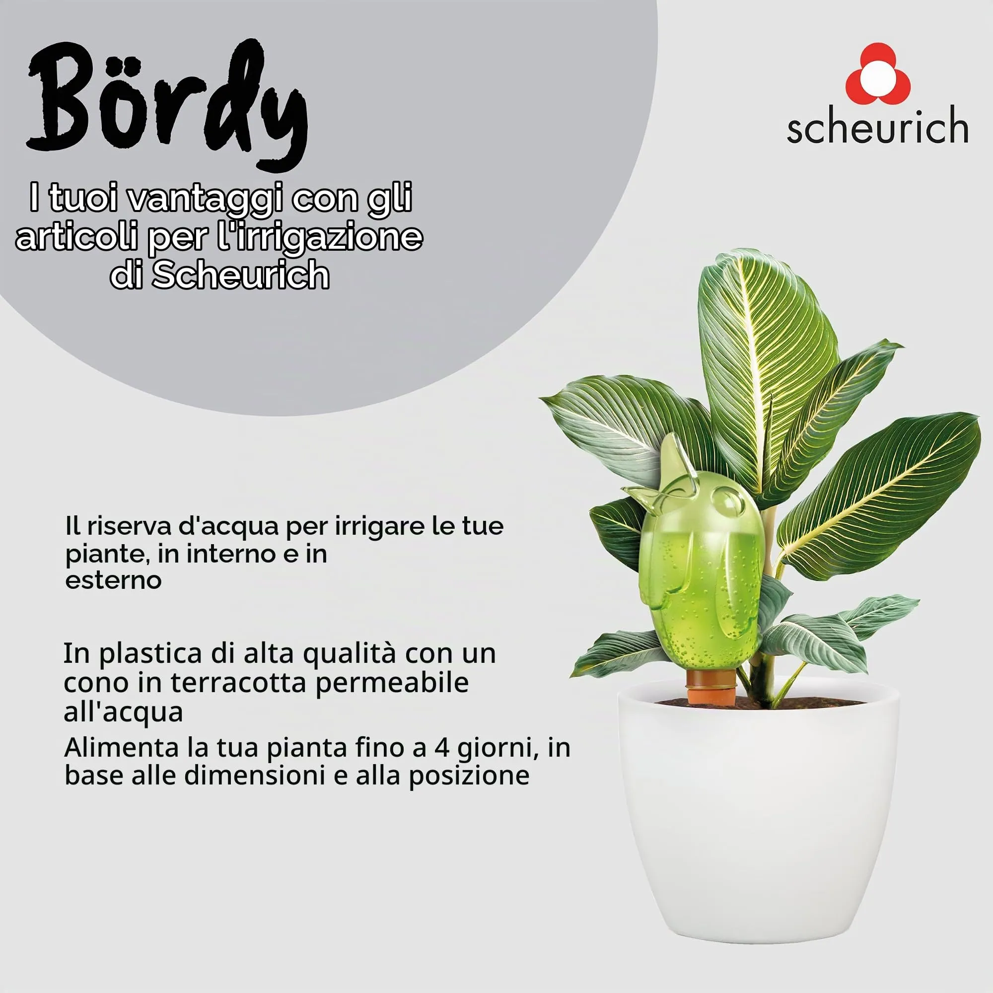 Scheurich 510439 Bördy S Accessorio per piante, Verde, Ø 10 cm, Altezza 15 cm - immagine 5