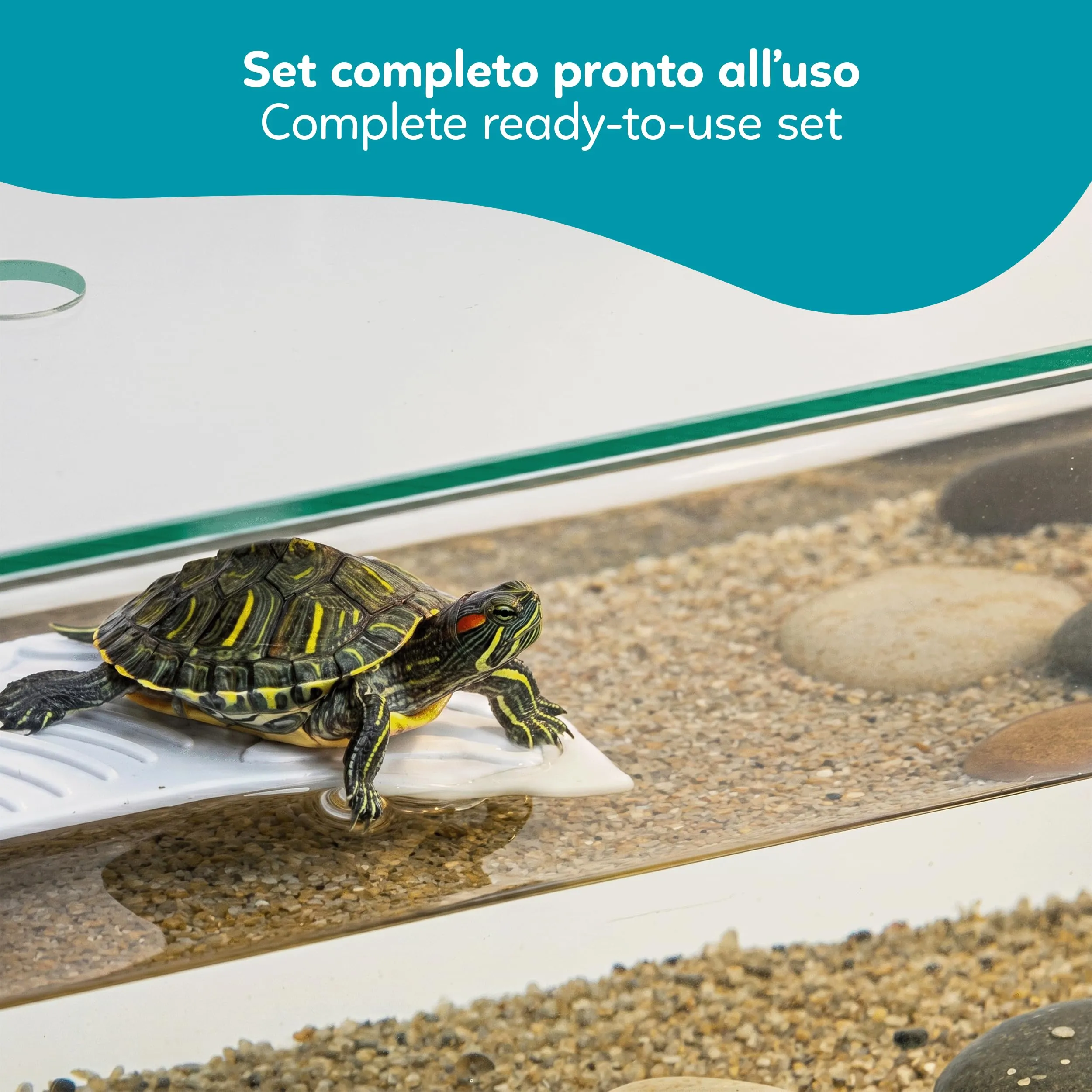 AQPET Tartarughiera in Vetro con Coperchio e Isola per Tartarughe d'Acqua, 40x24x17 cm, 16 Litri - immagine 4