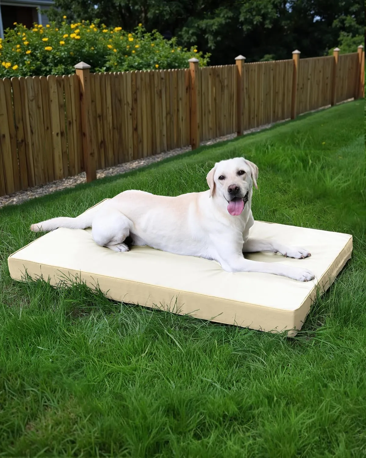 Favodormir Cuccia Cane Interno Ortopedica in Ecopelle Impermeabile, Beige, 104 x 68 x 8 cm - immagine 7
