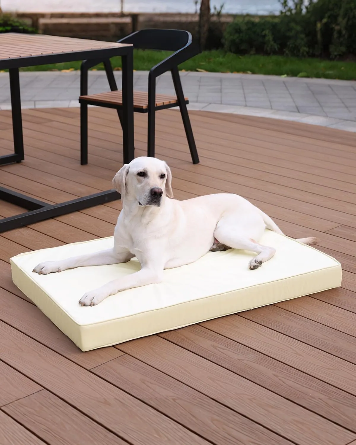 Favodormir Cuccia Cane Interno Ortopedica in Ecopelle Impermeabile, Beige, 104 x 68 x 8 cm - immagine 8