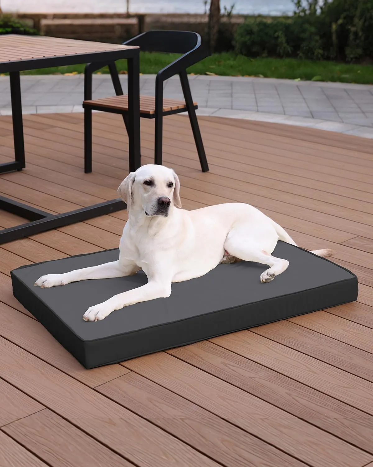 Favodormir Cuccia Cane Interno Ortopedica in Ecopelle, Impermeabile, Nero, 104 x 68 x 8 cm - immagine 9