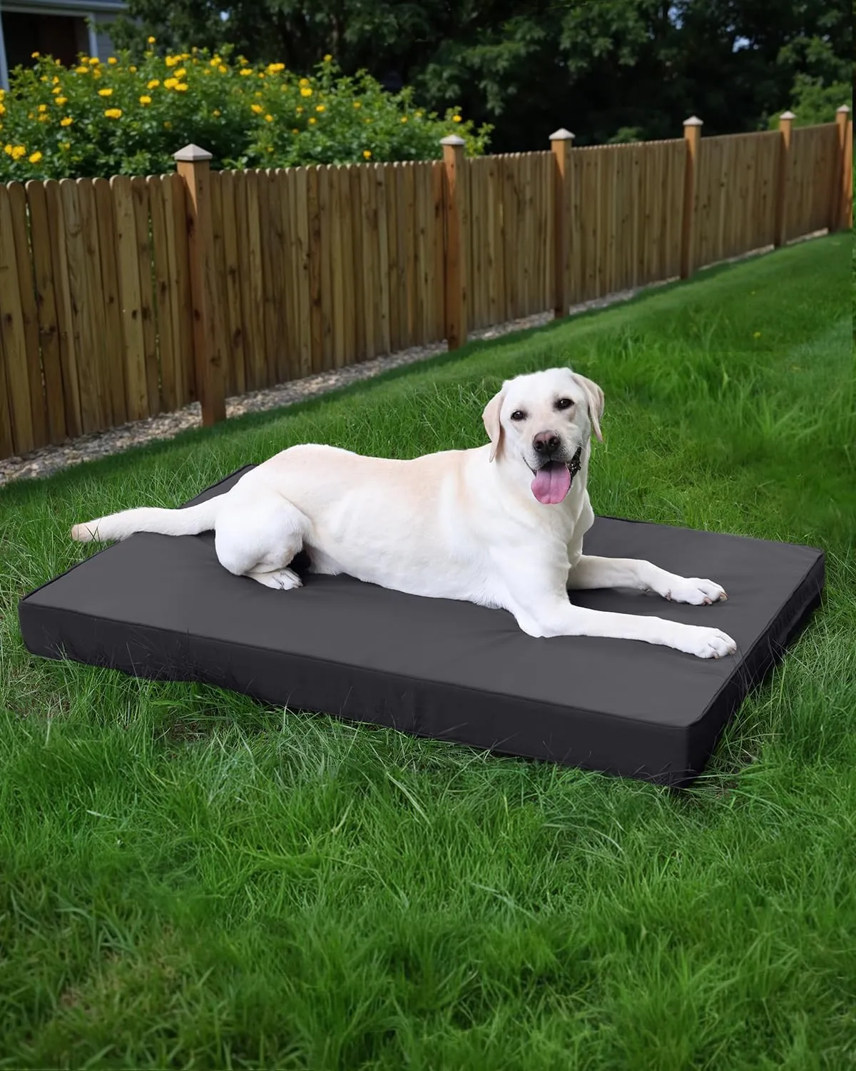 Favodormir Cuccia Cane Interno Ortopedica in Ecopelle, Nero, 111 x 81 x 9 cm - immagine 8